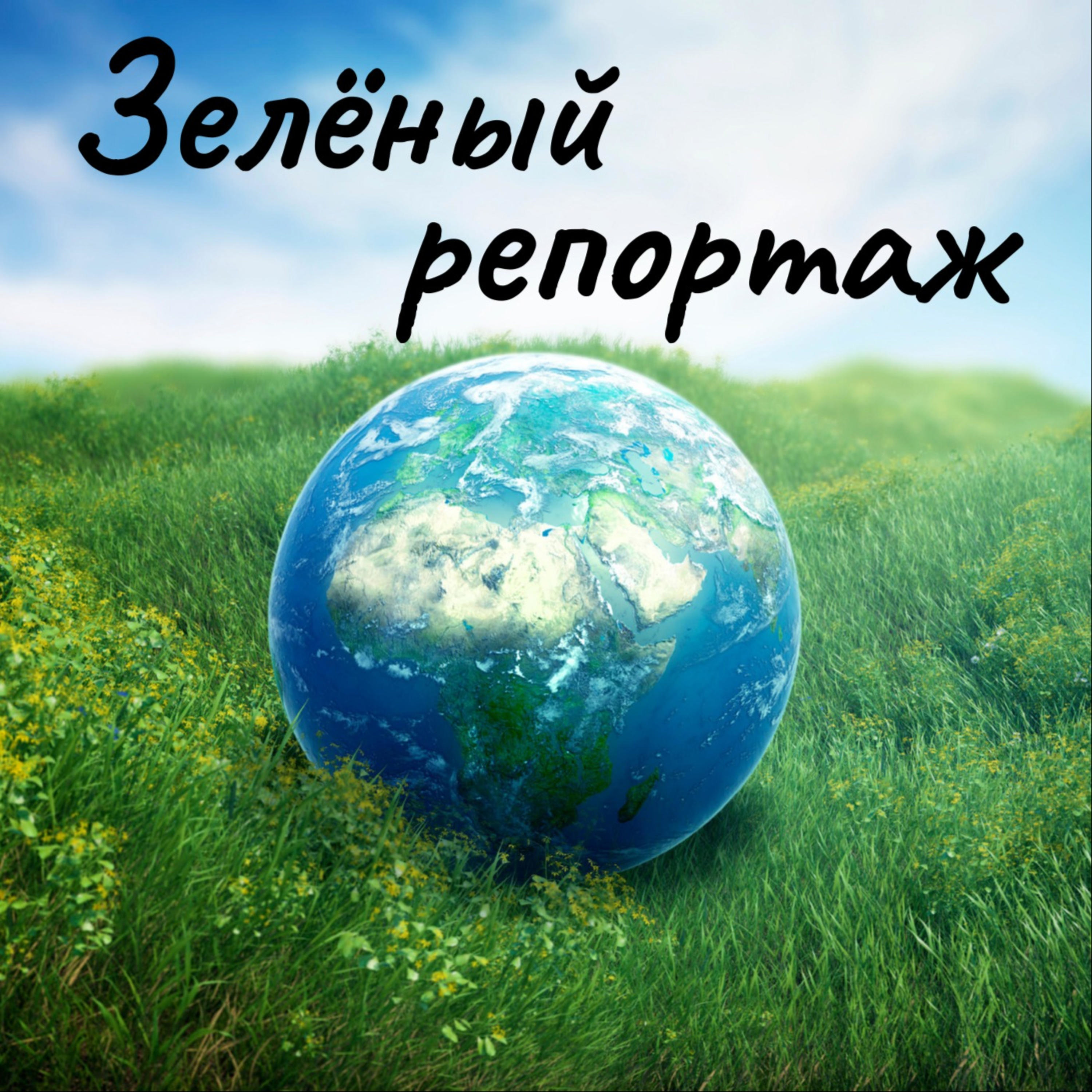 Зелёный репортаж