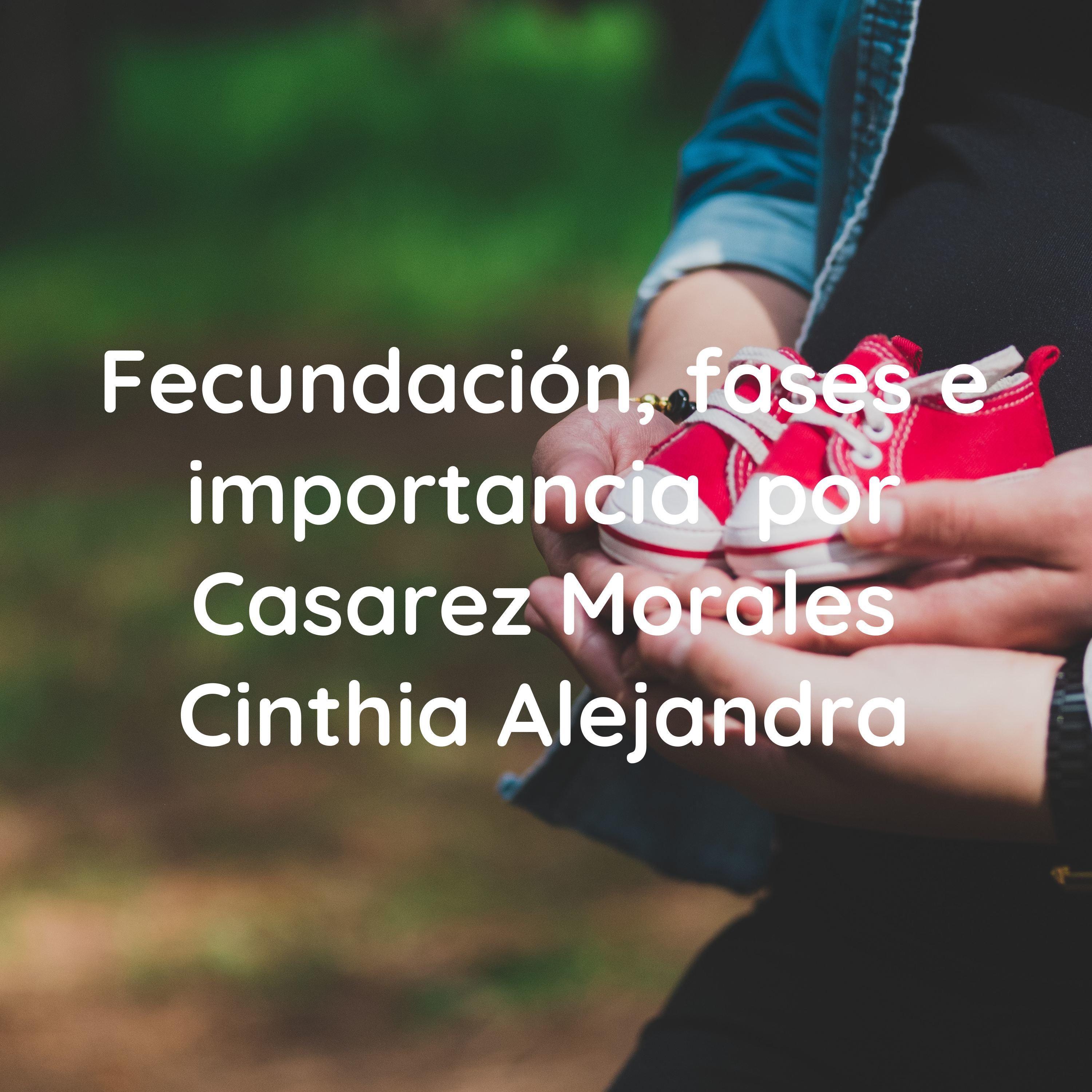 Fecundación, fases e importancia  por Casarez Morales Cinthia Alejandra
