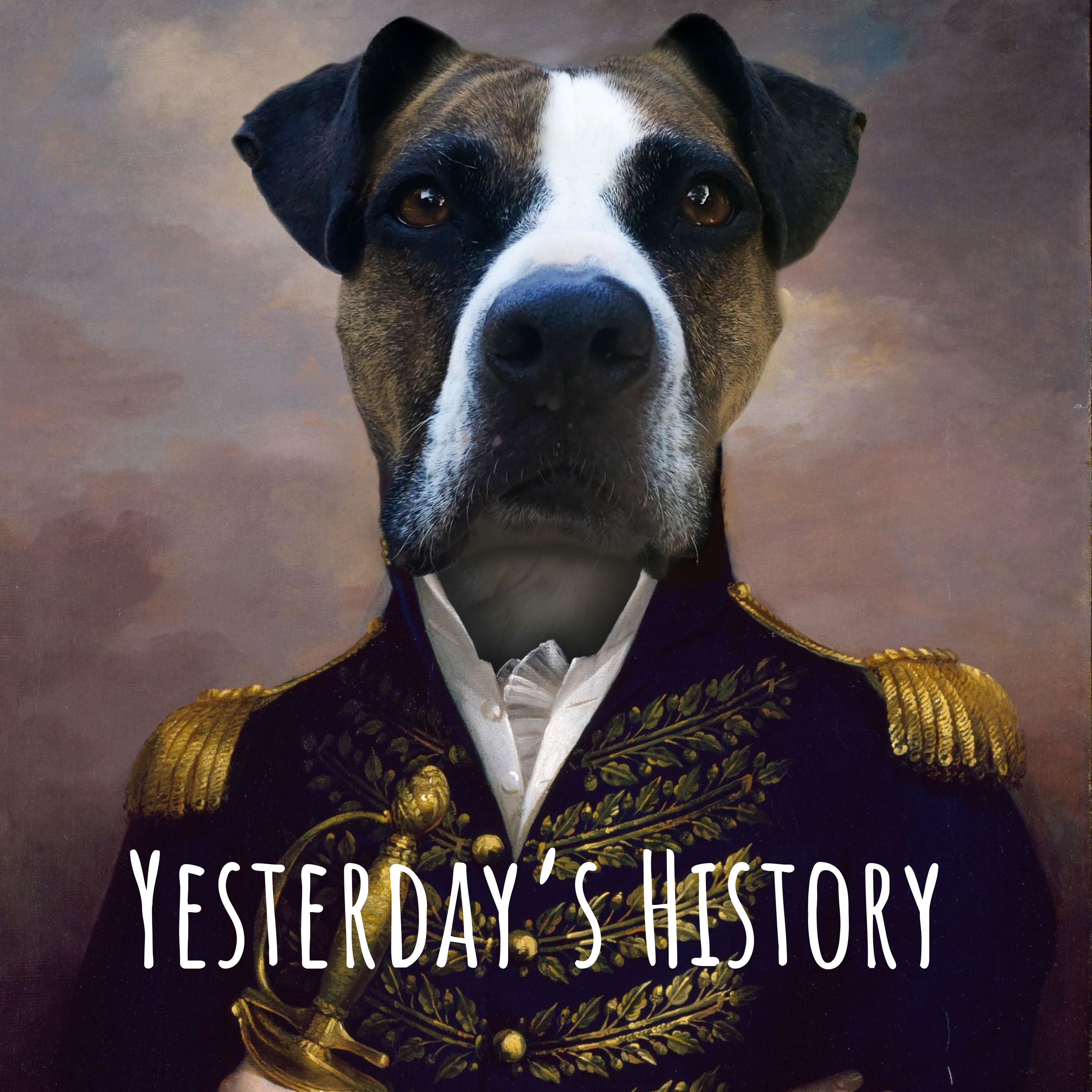 Yesterday\'s History