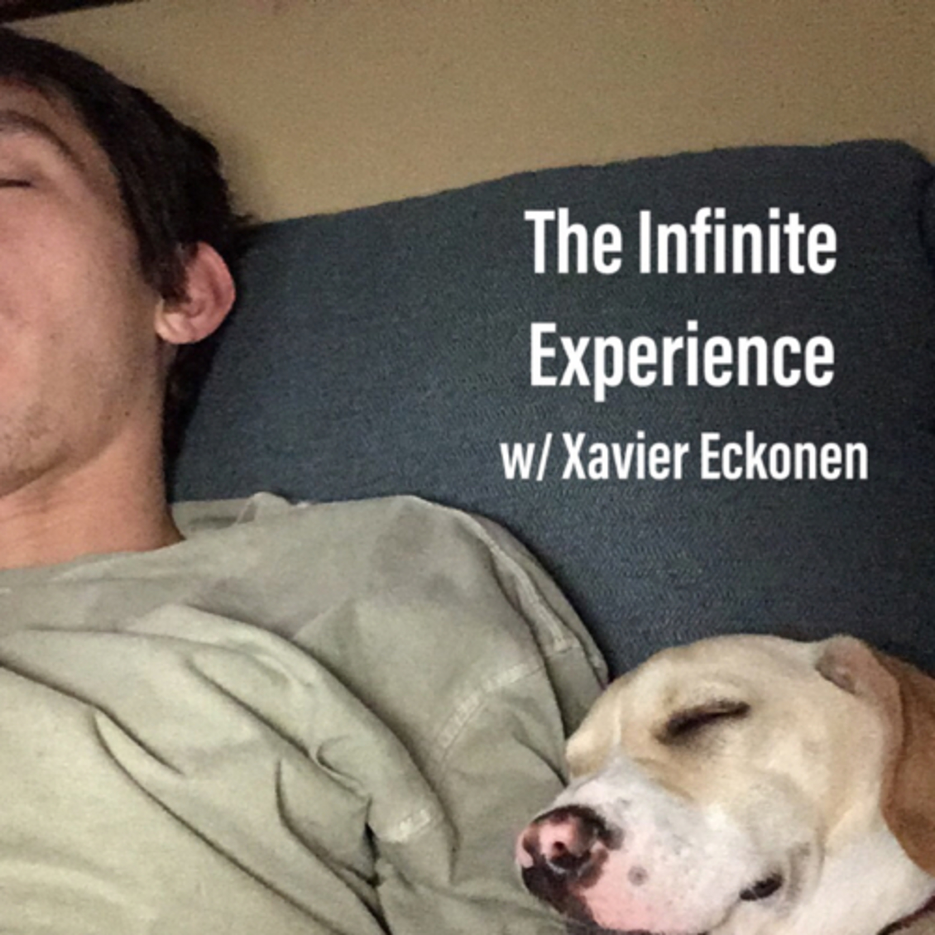 The Infinite Experience podcast artwork
