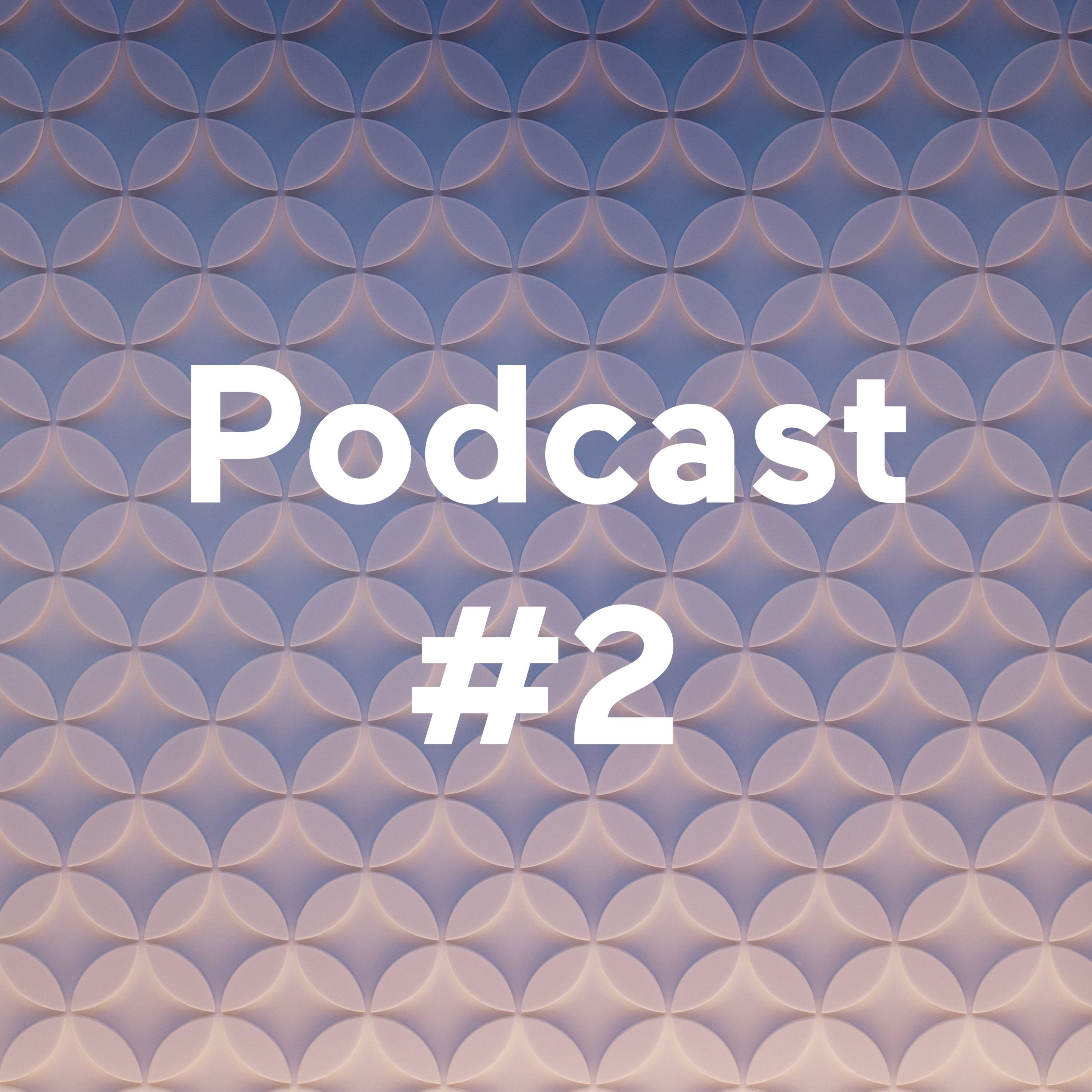 Podcast #2