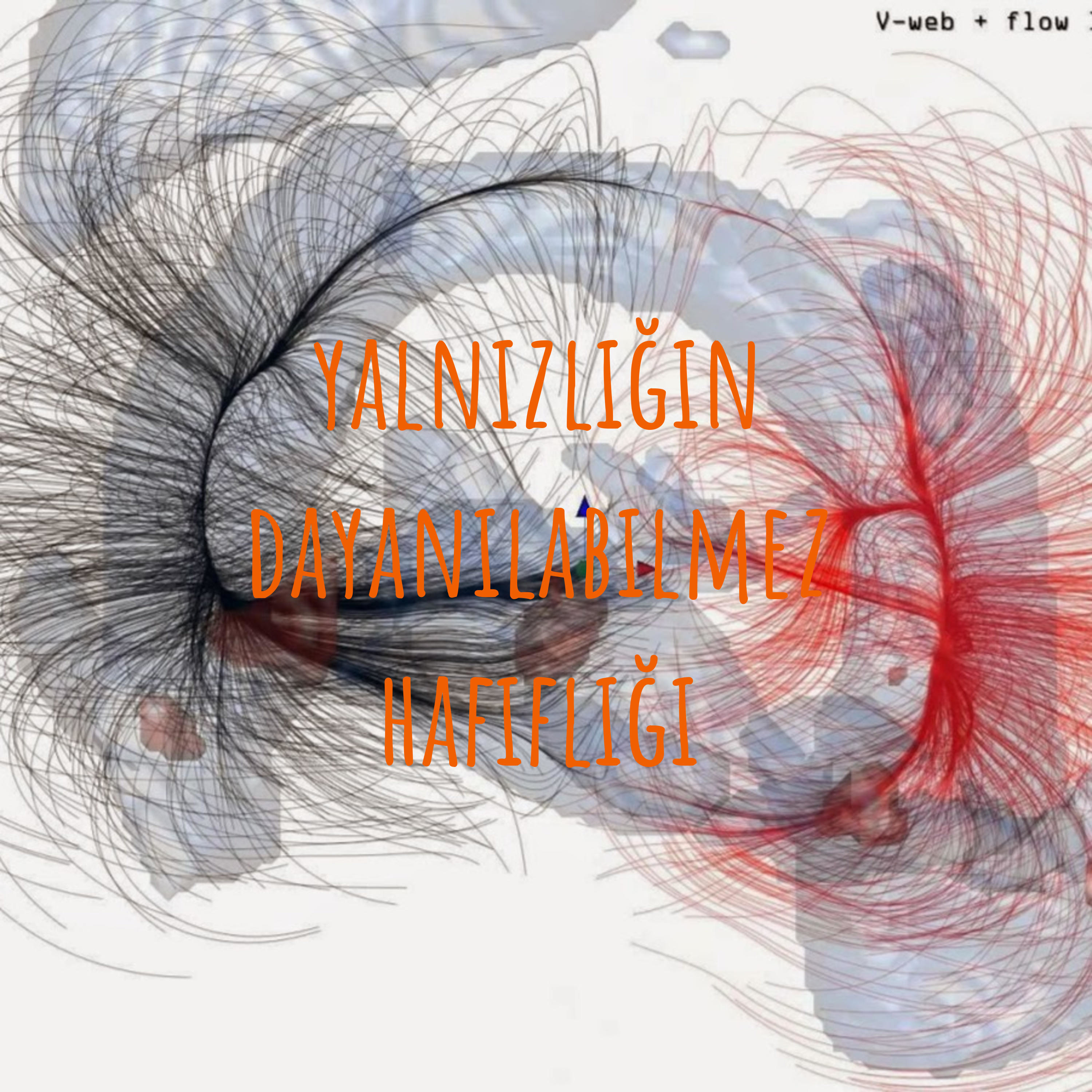 yalnızlığın dayanılabilmez hafifliği