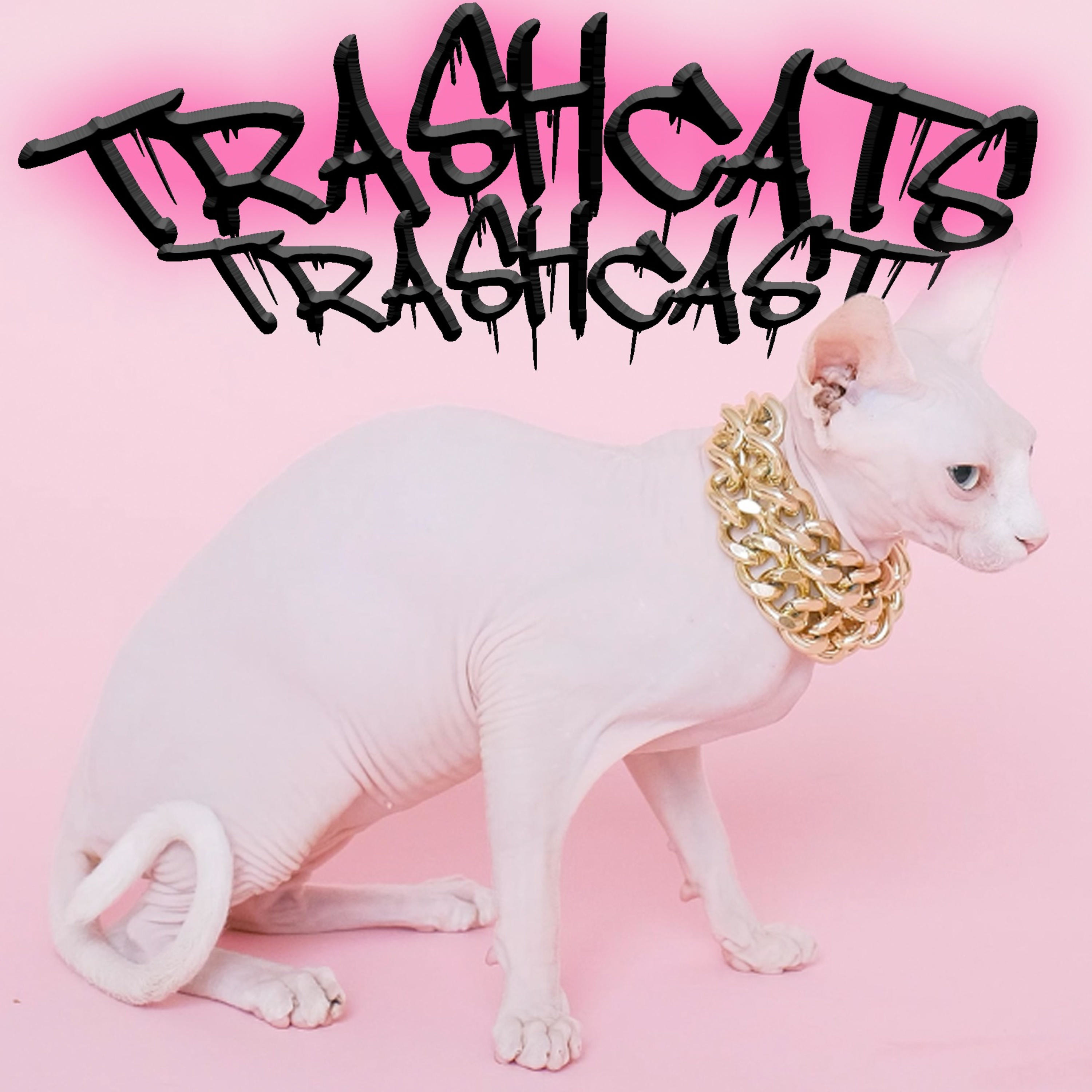 TrashCats TrashCast