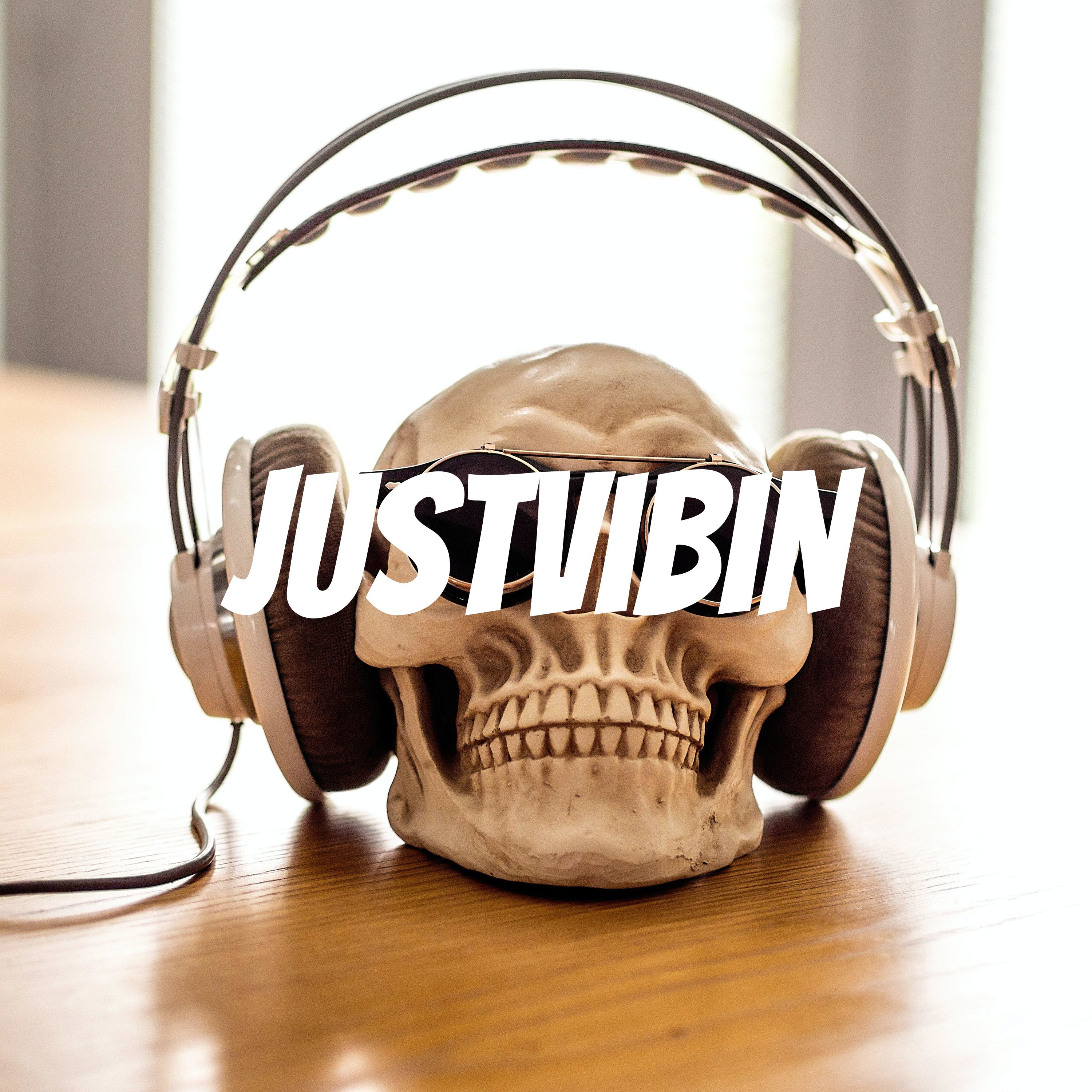 JustVibin