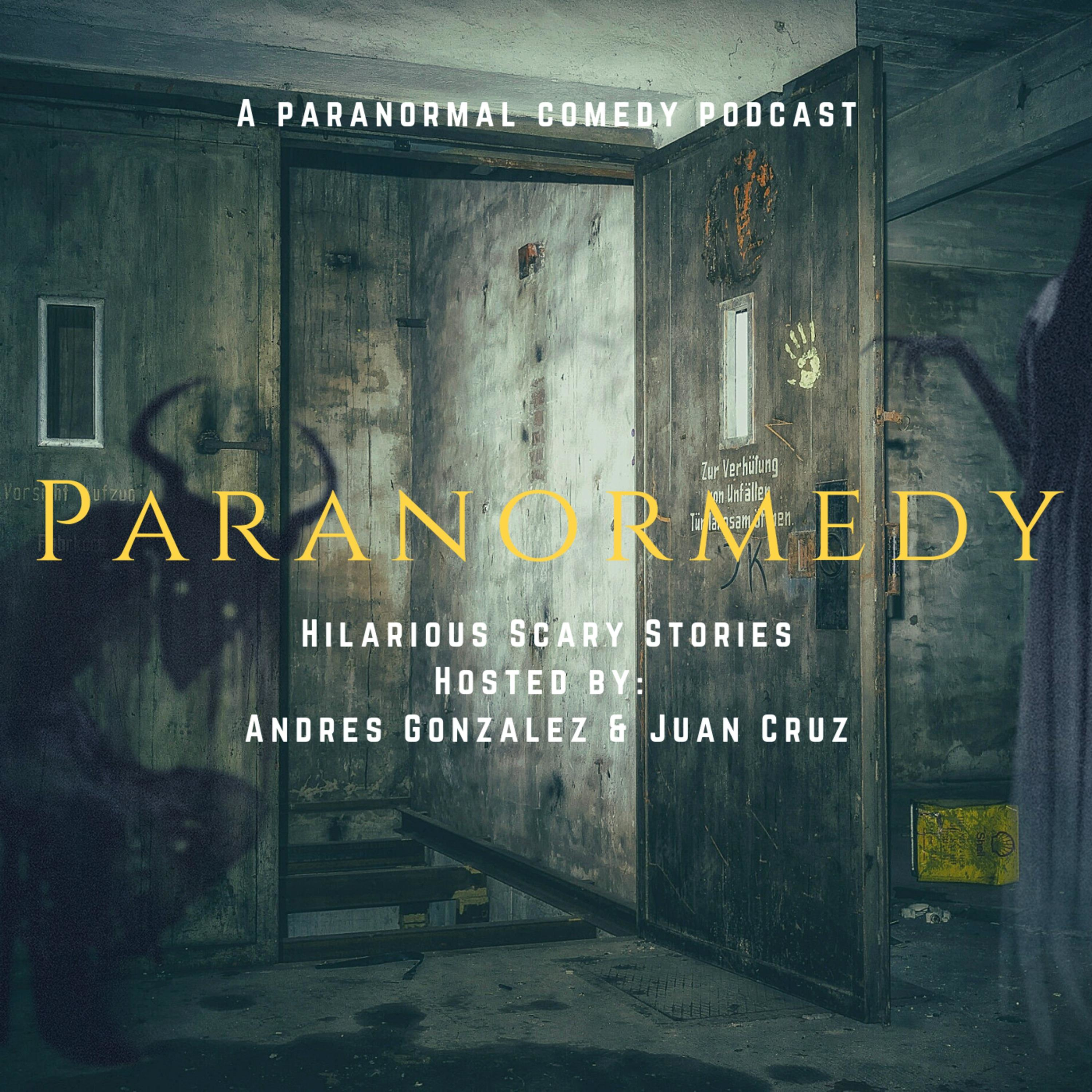 Paranormedy