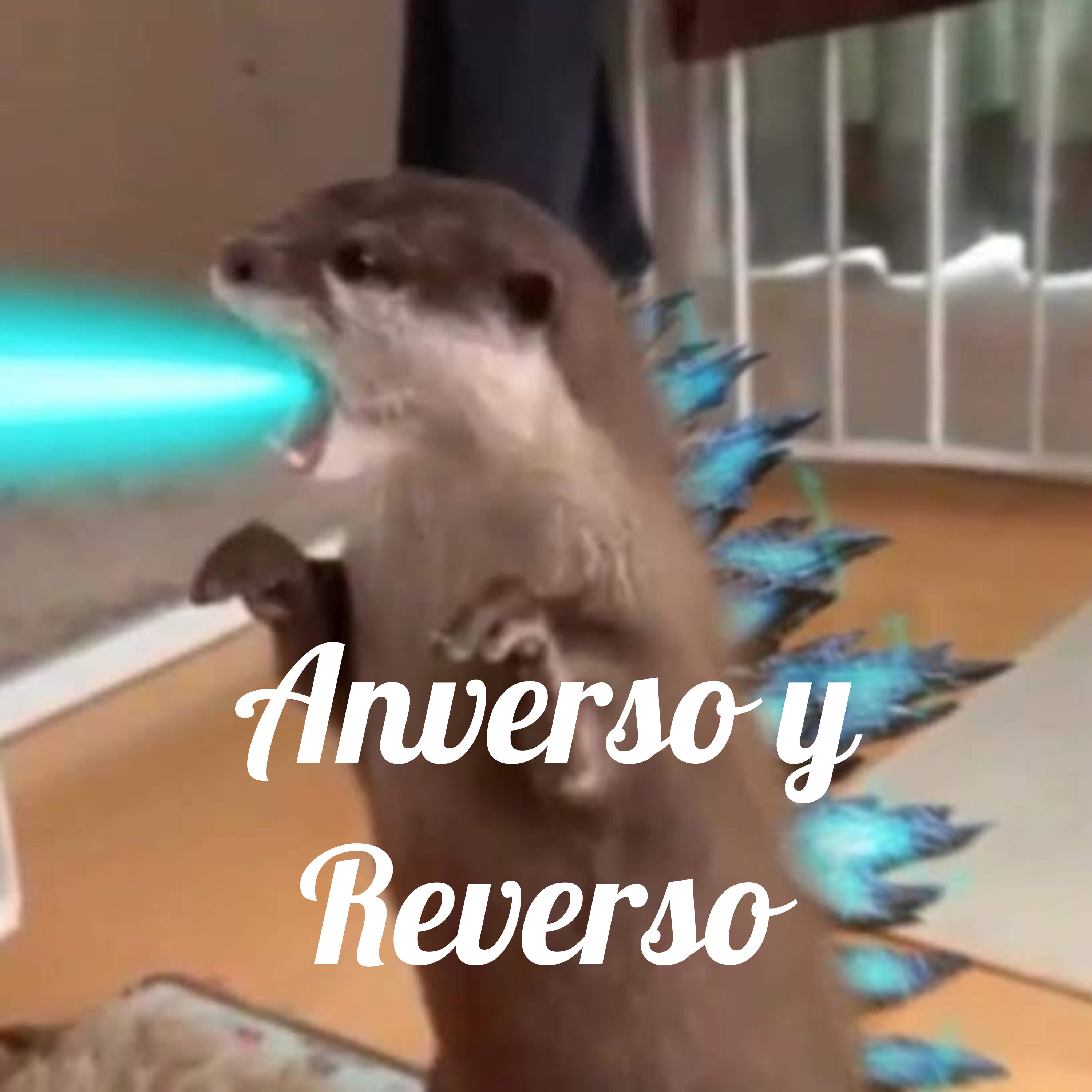 Anverso y Reverso