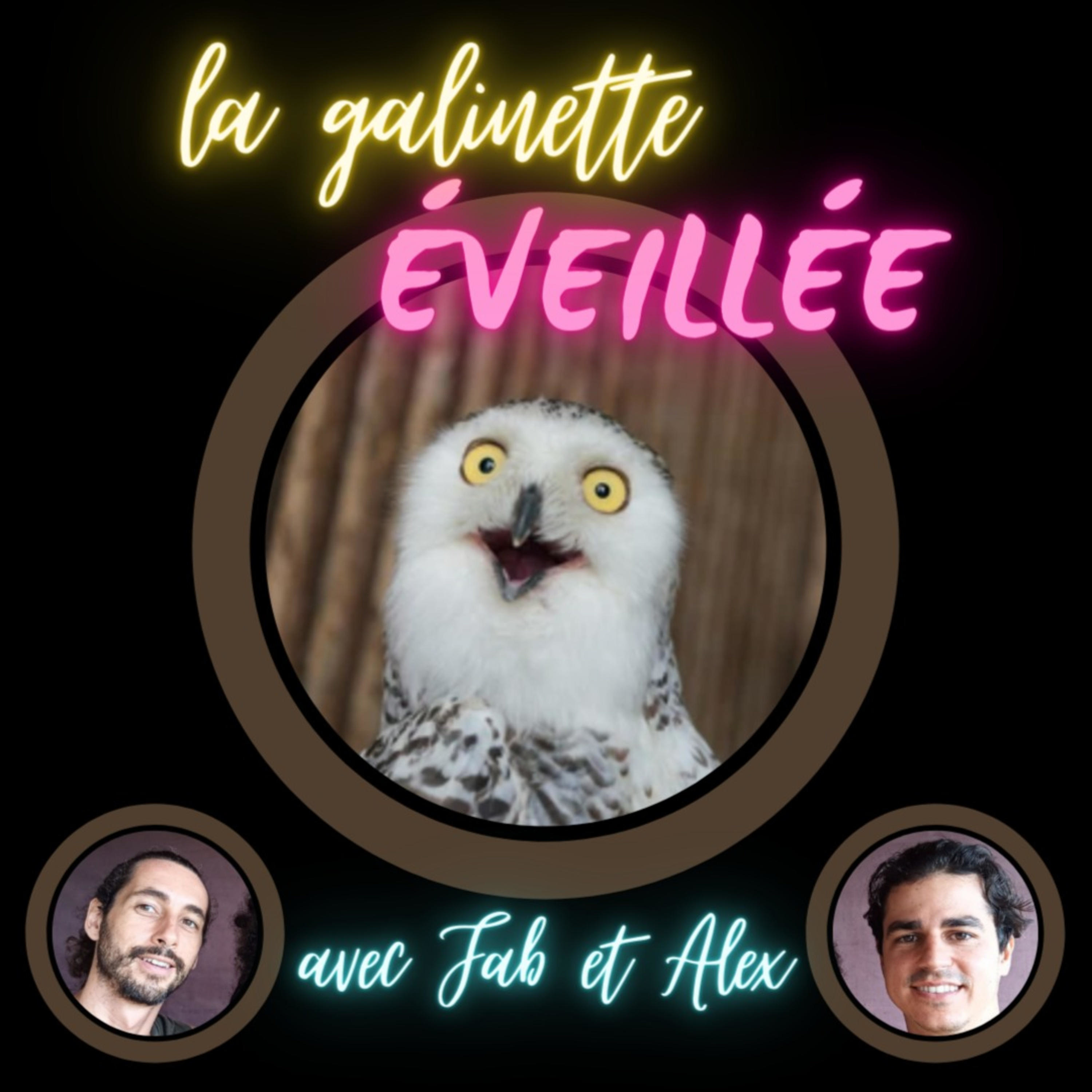 La Galinette Eveillée 
