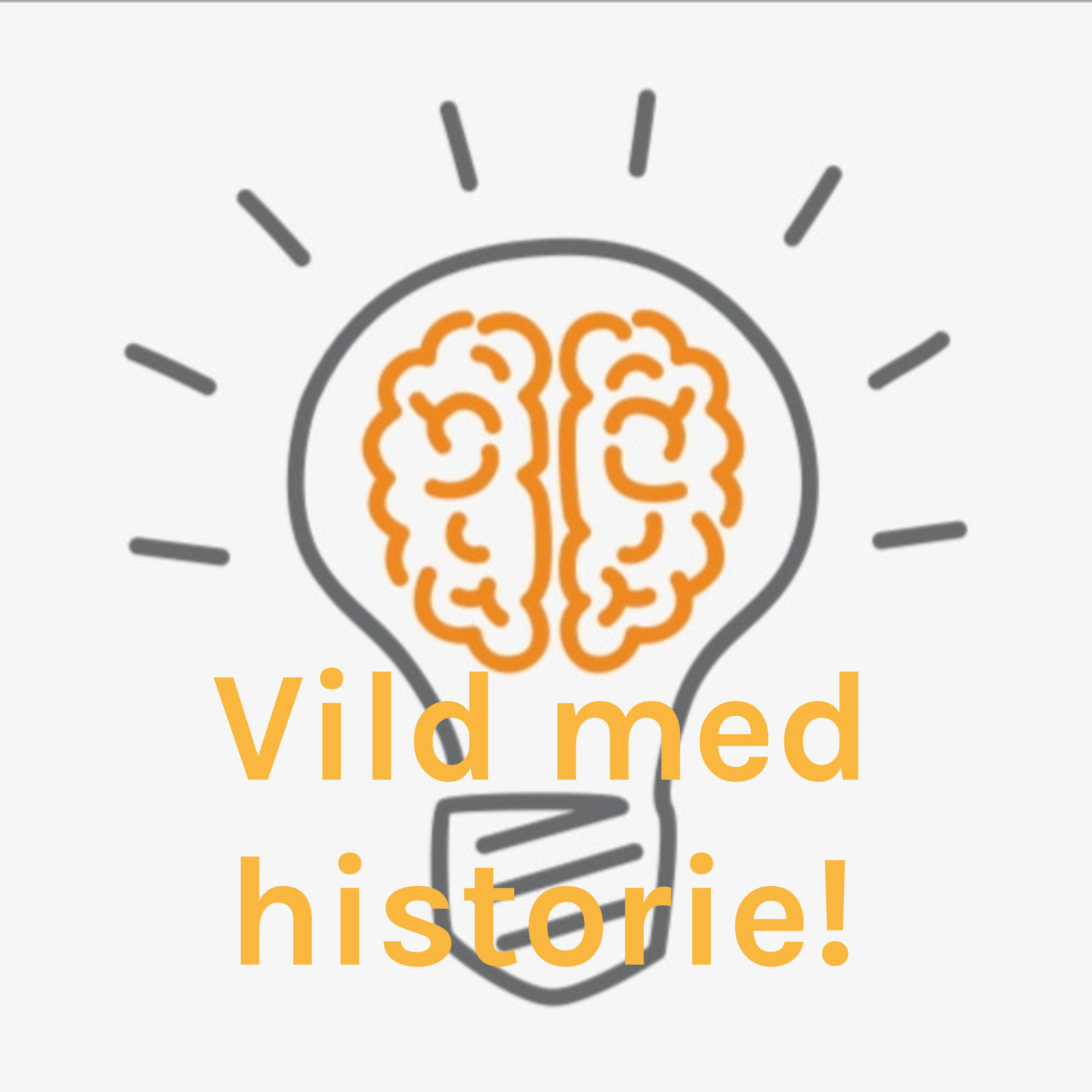 Vild med historie!