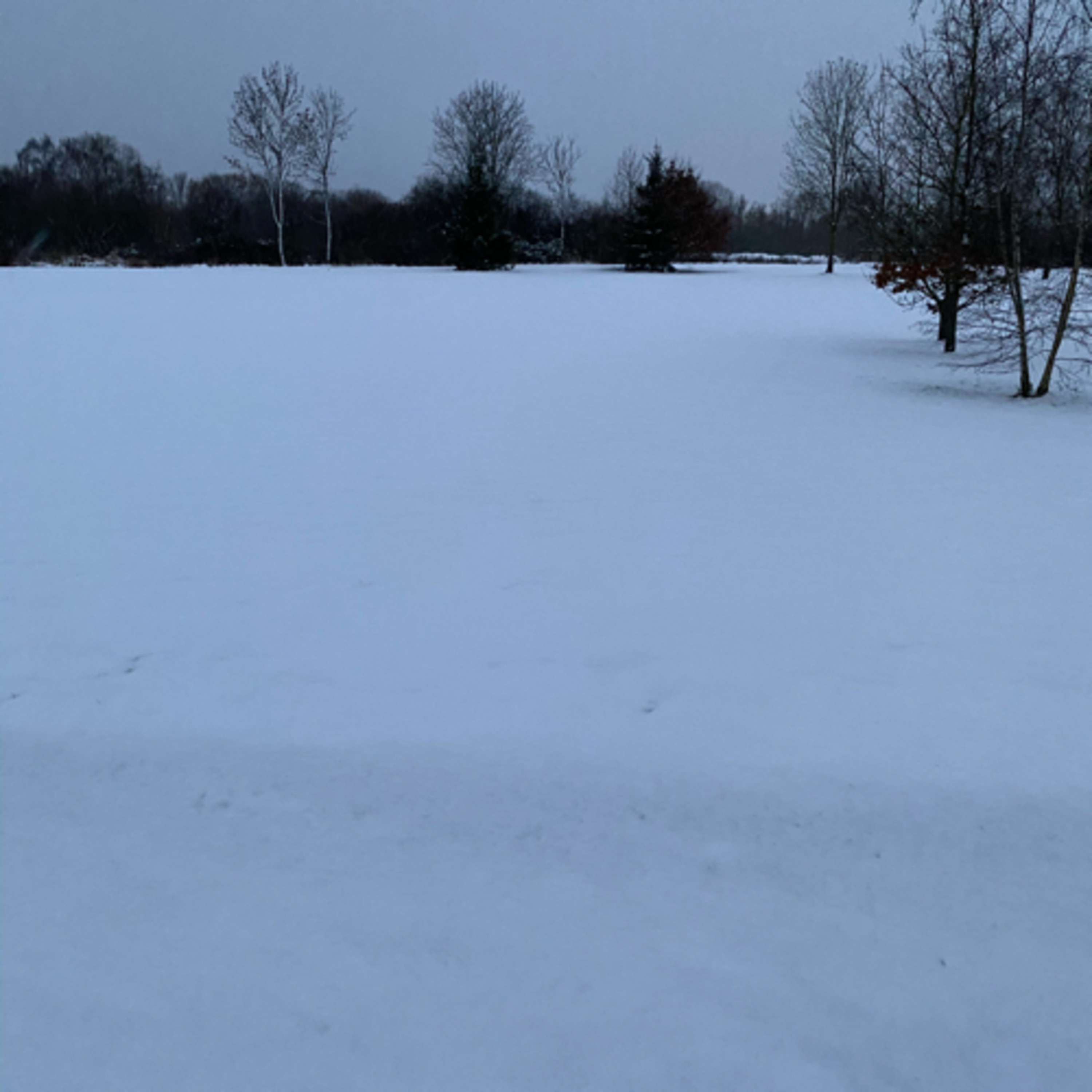 My corona af Holger  Ekstrand