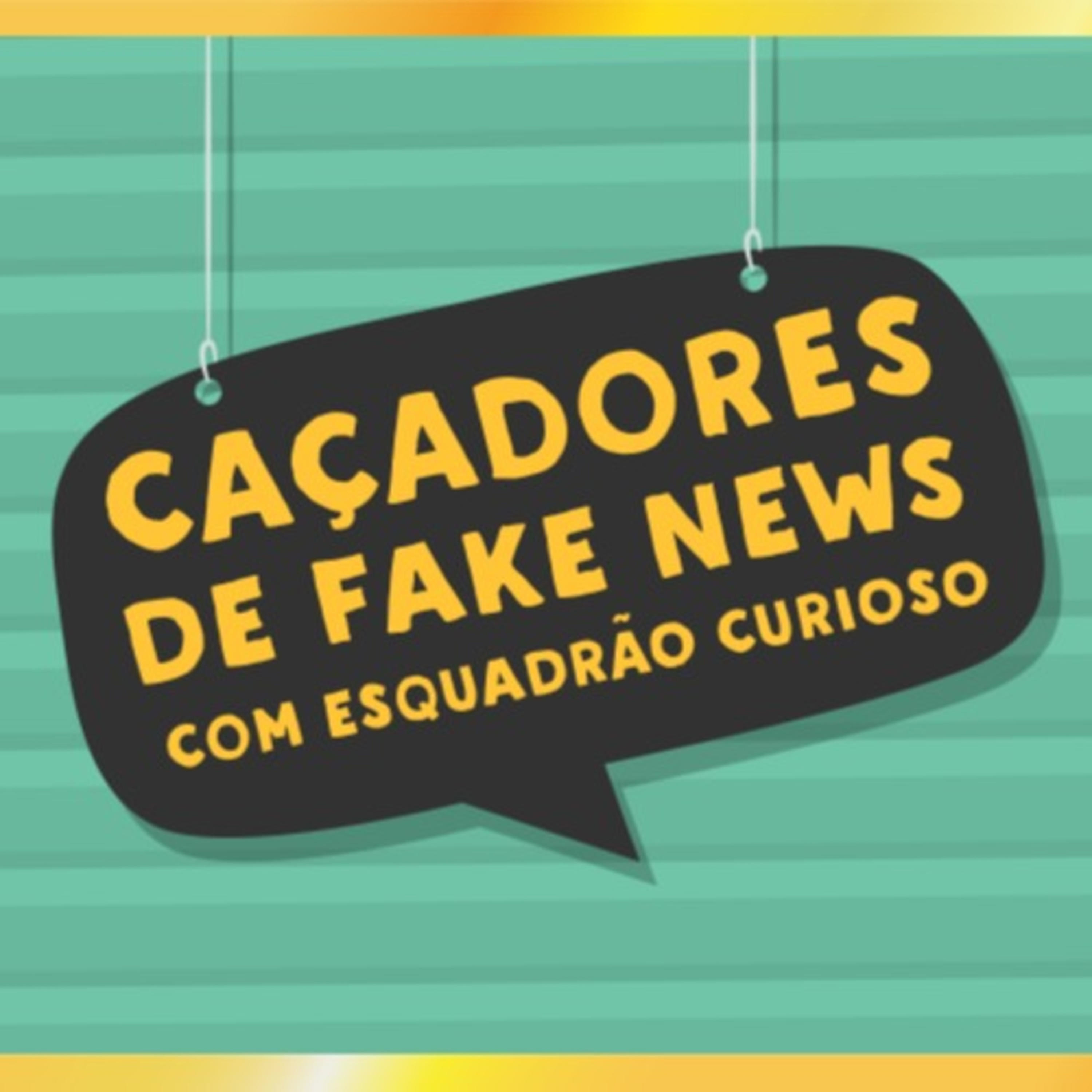 Caçadores de Fake News - Esquadrão Curioso