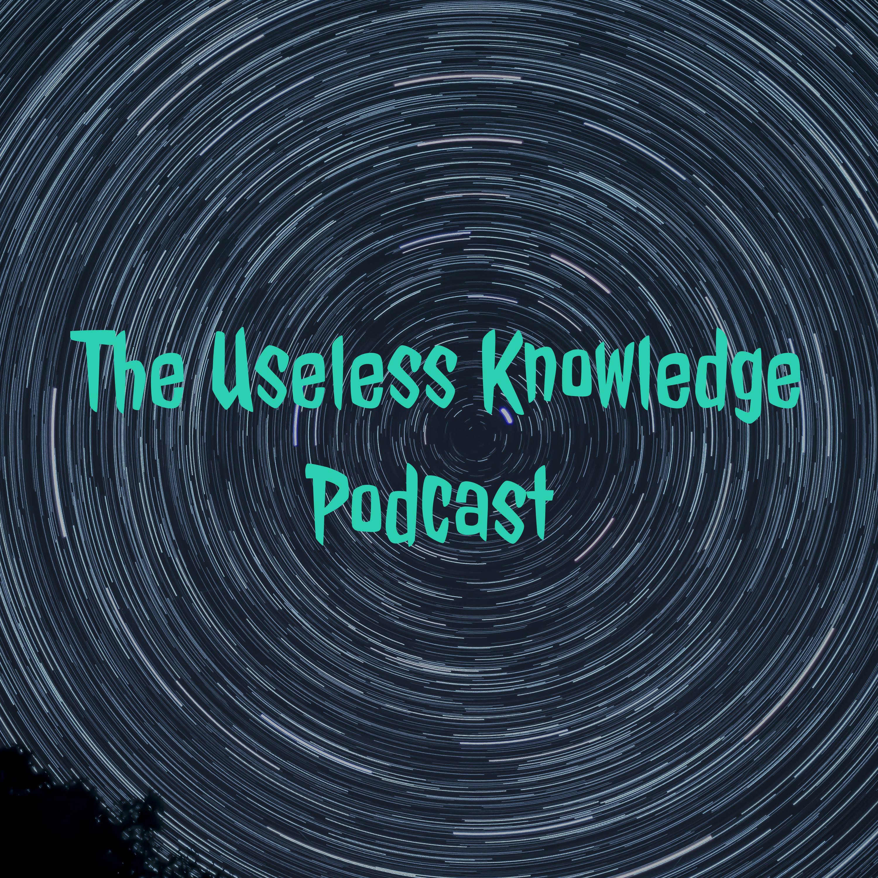 The Useless Knowledge Podcast 