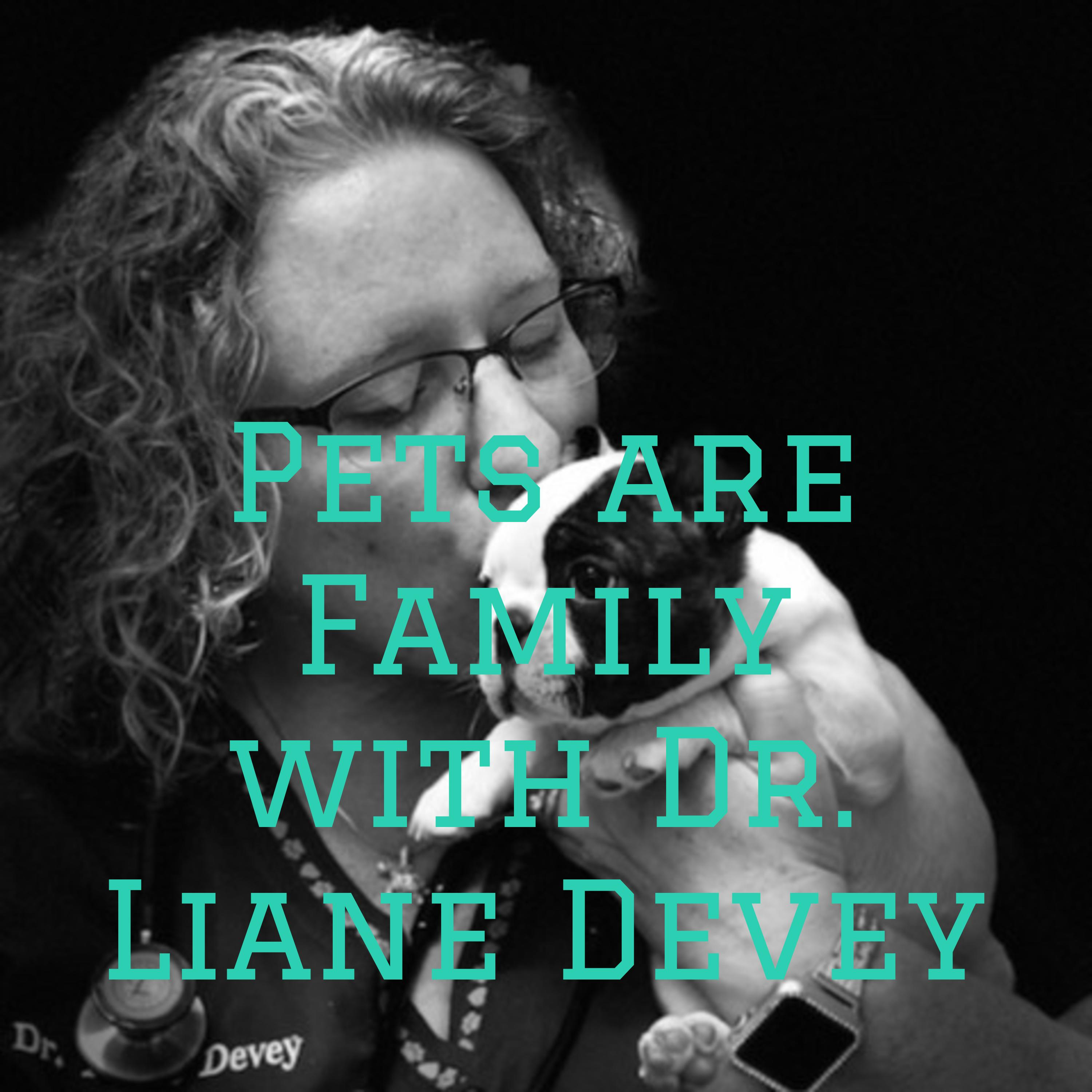 Pets are Family with Dr. Liane Devey