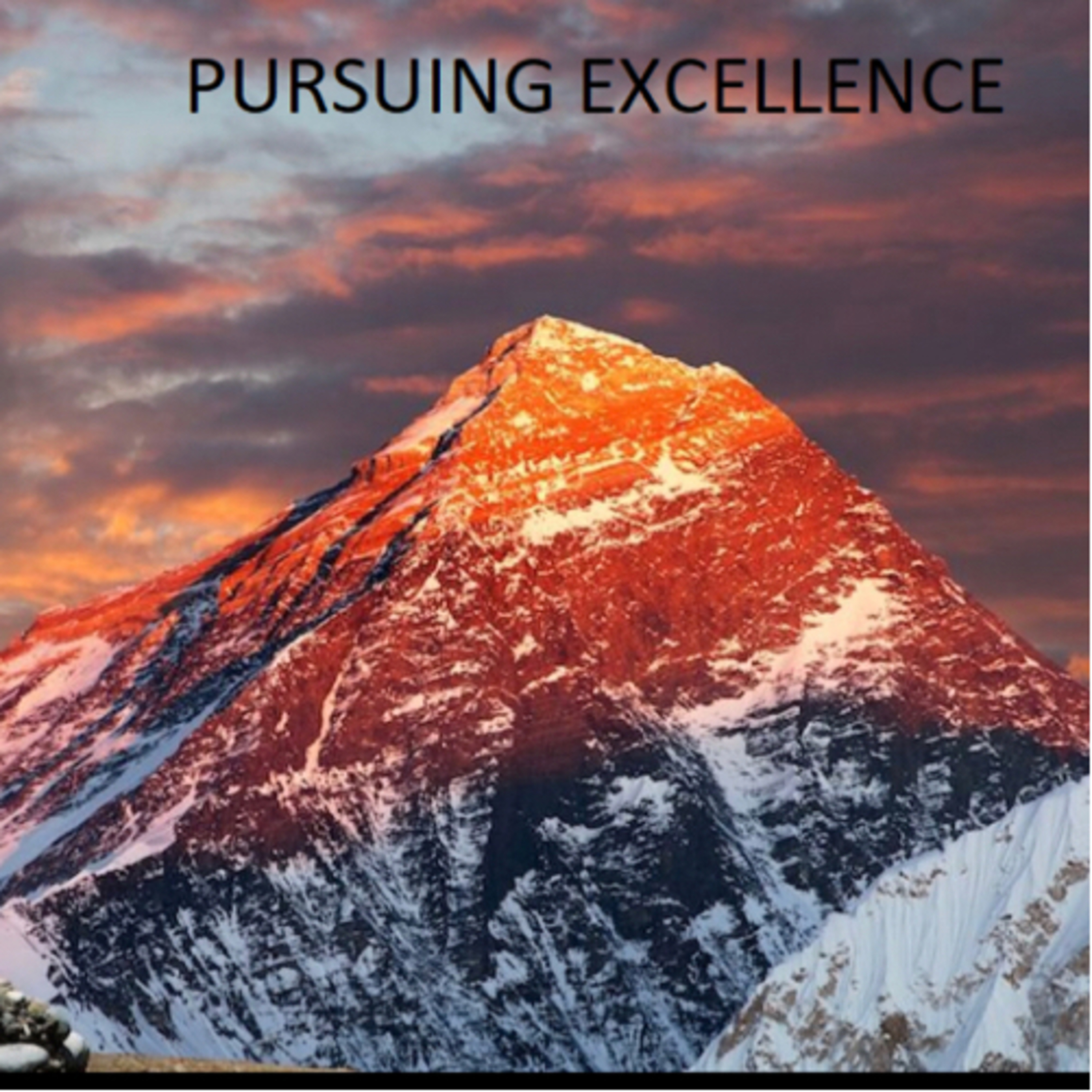 Pursuing Excellence