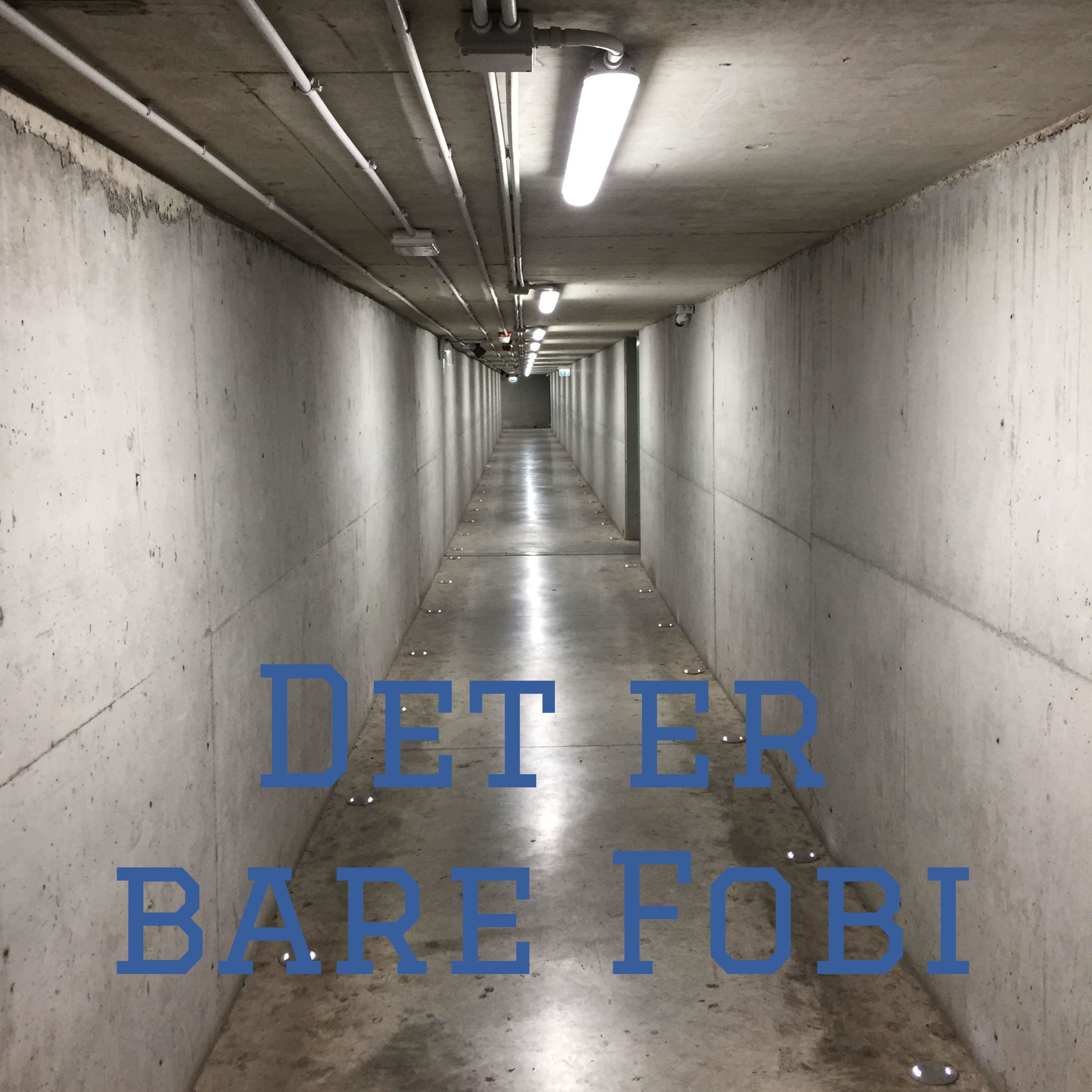 Det er bare Fobi af Birk Kühl & Mathilde Meier