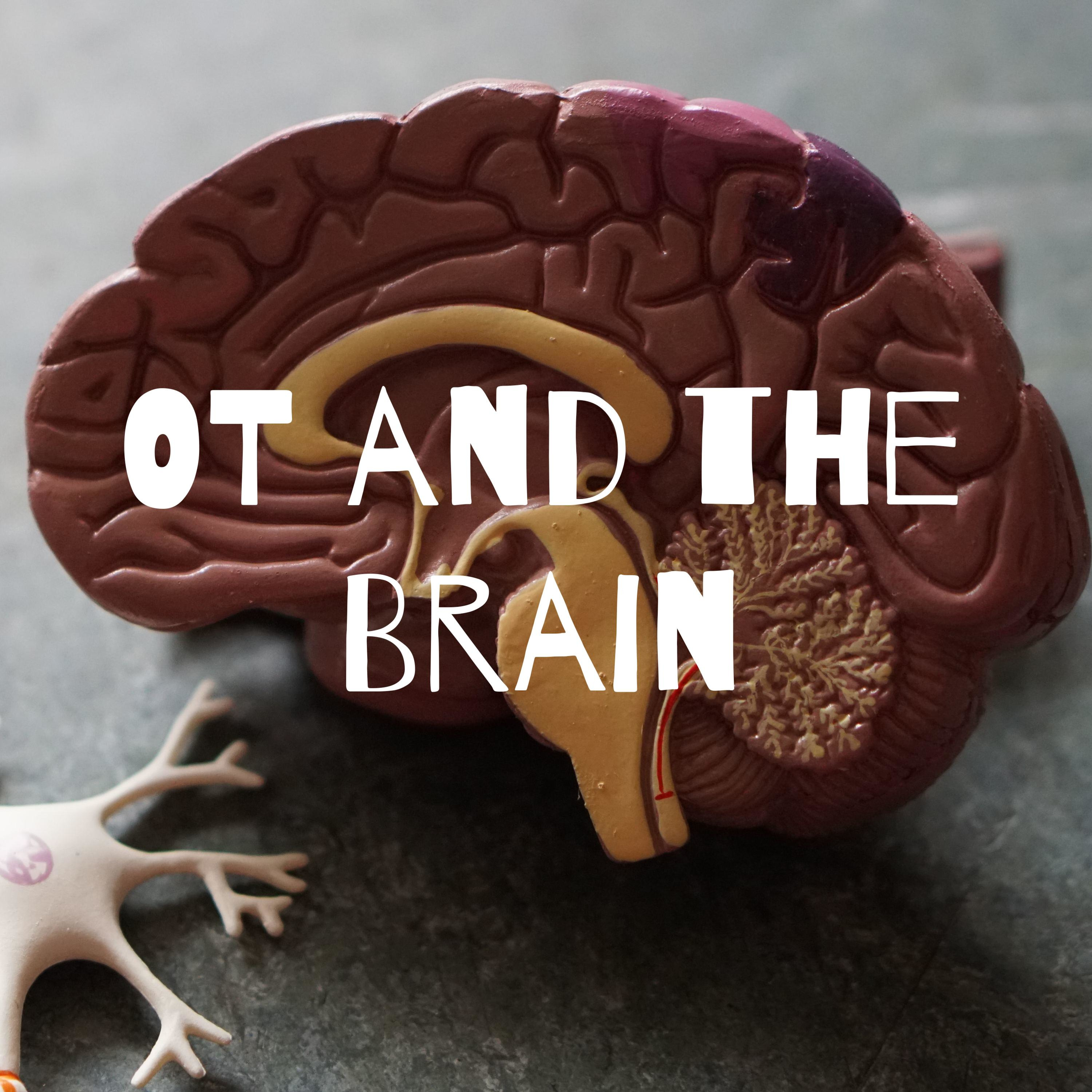 OT and the Brain