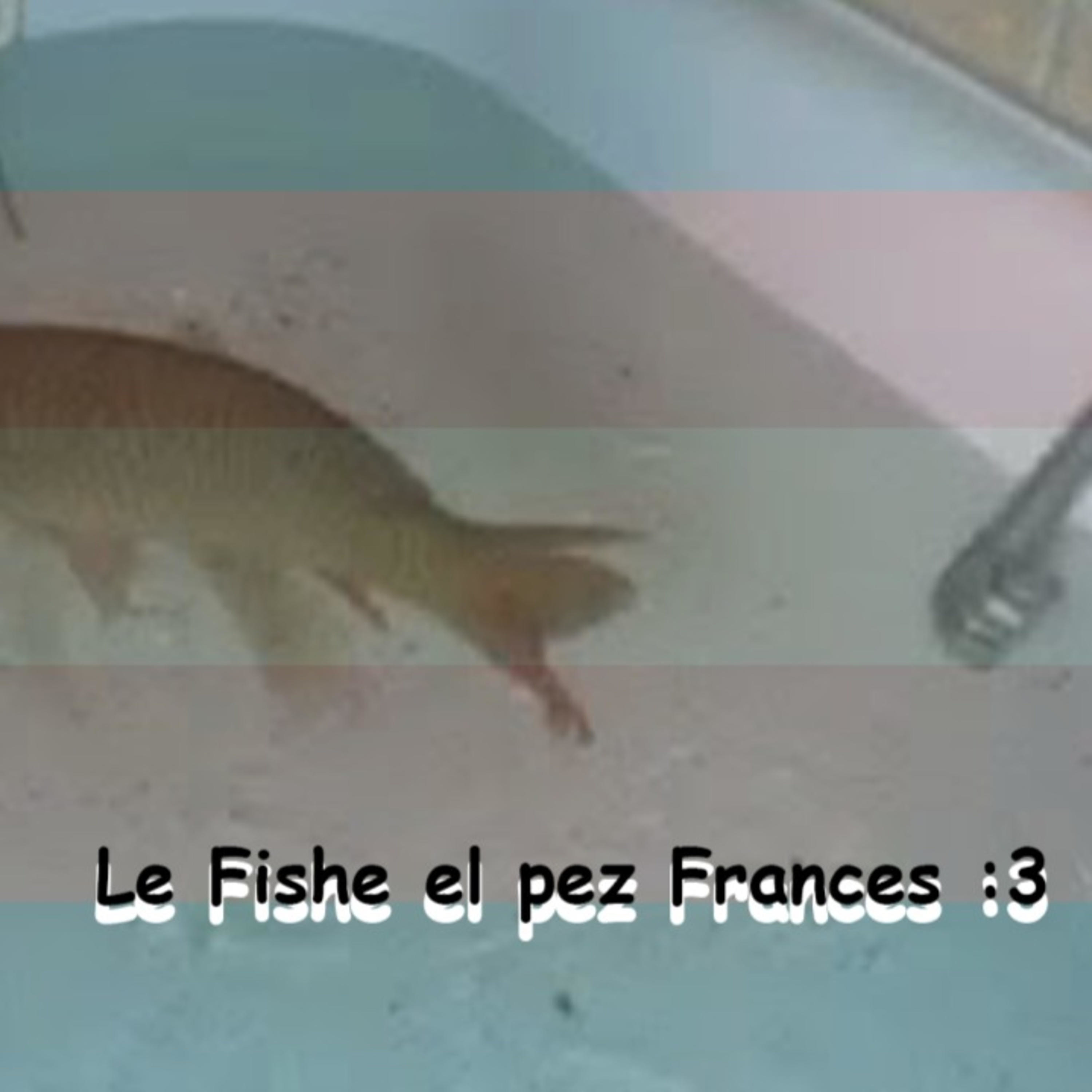 Le Fishe El Pez Francés :3