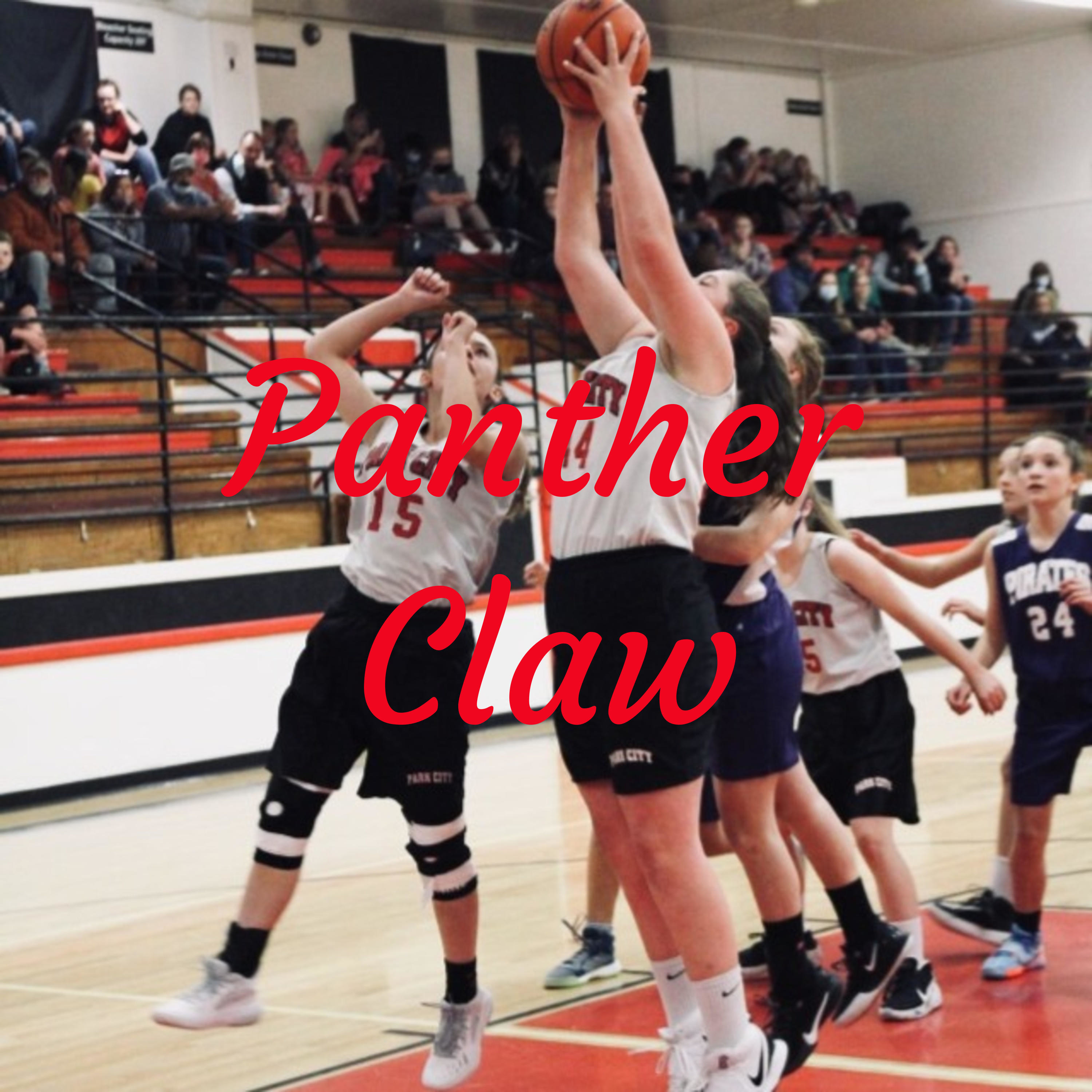 Panther Claw