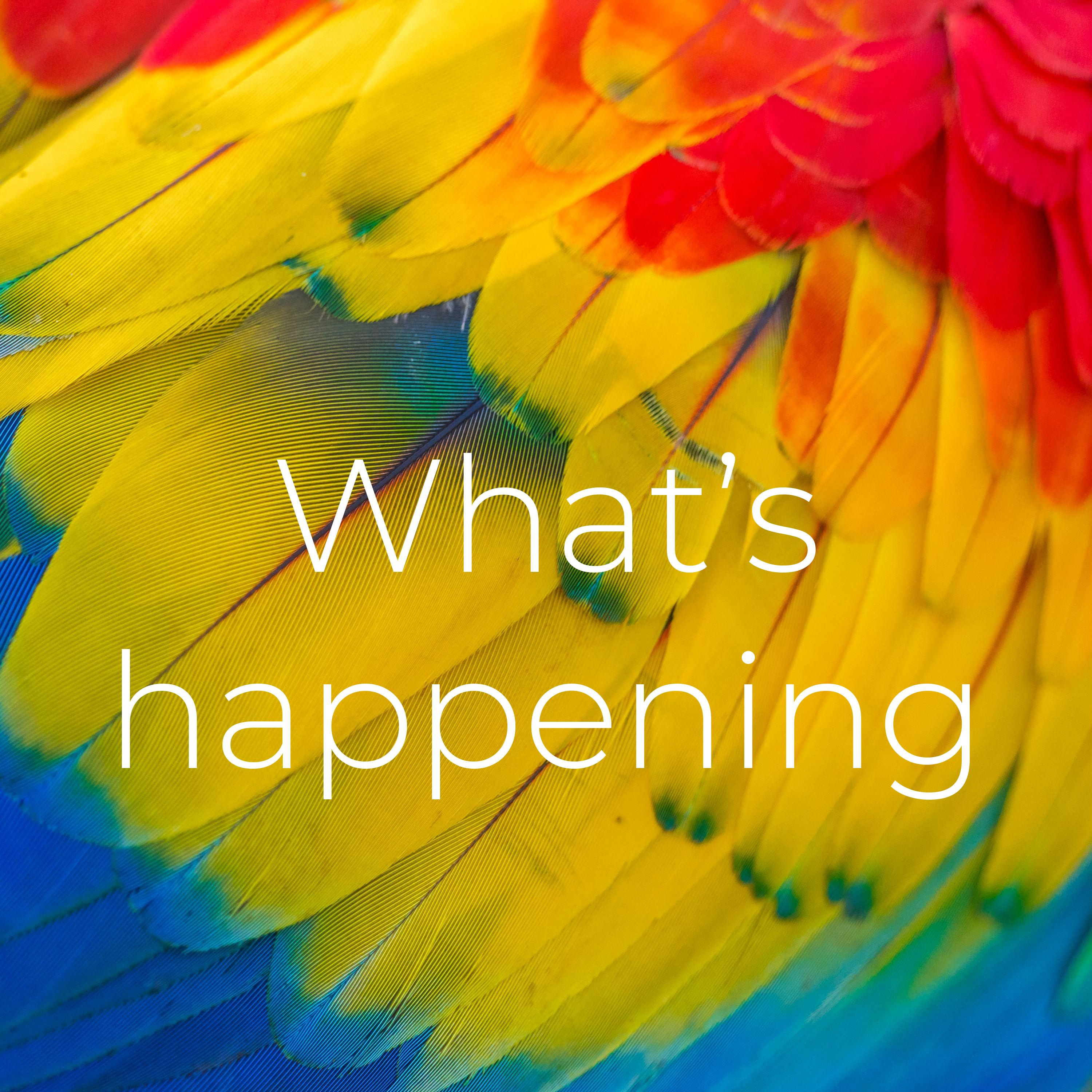 What’s happening?