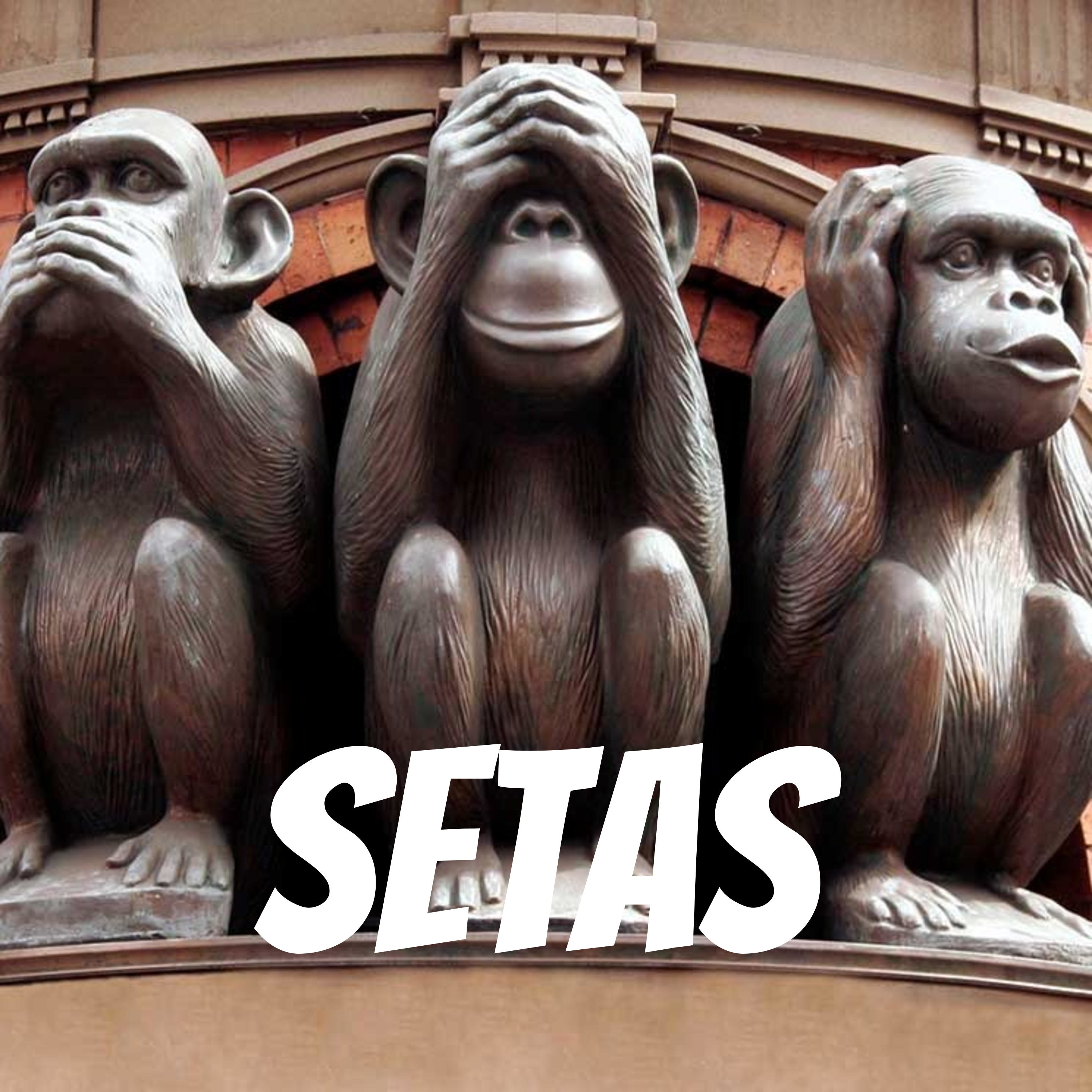 Setas