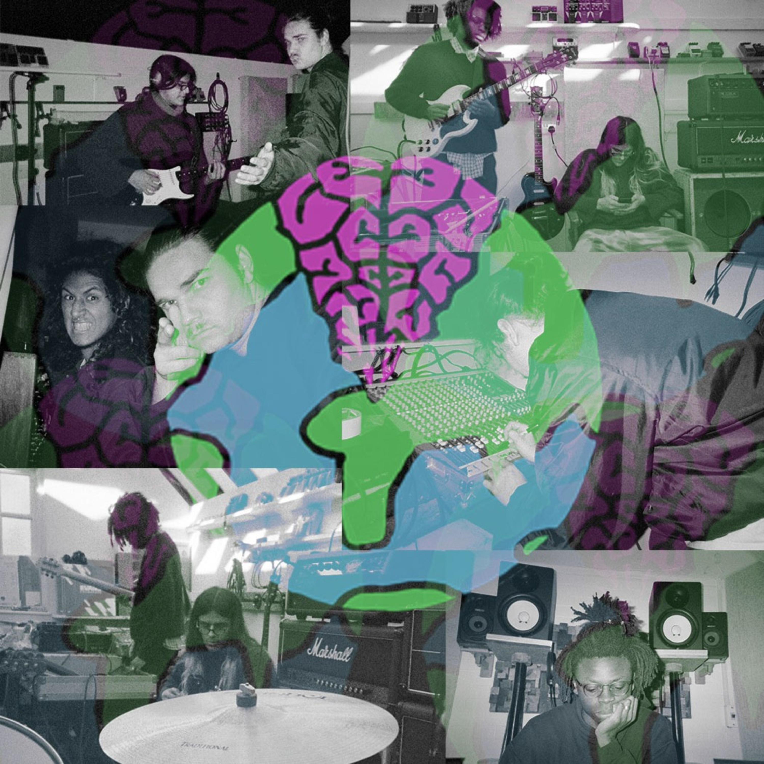 Fuzzbrain Fuckery with micromoon podcast artwork