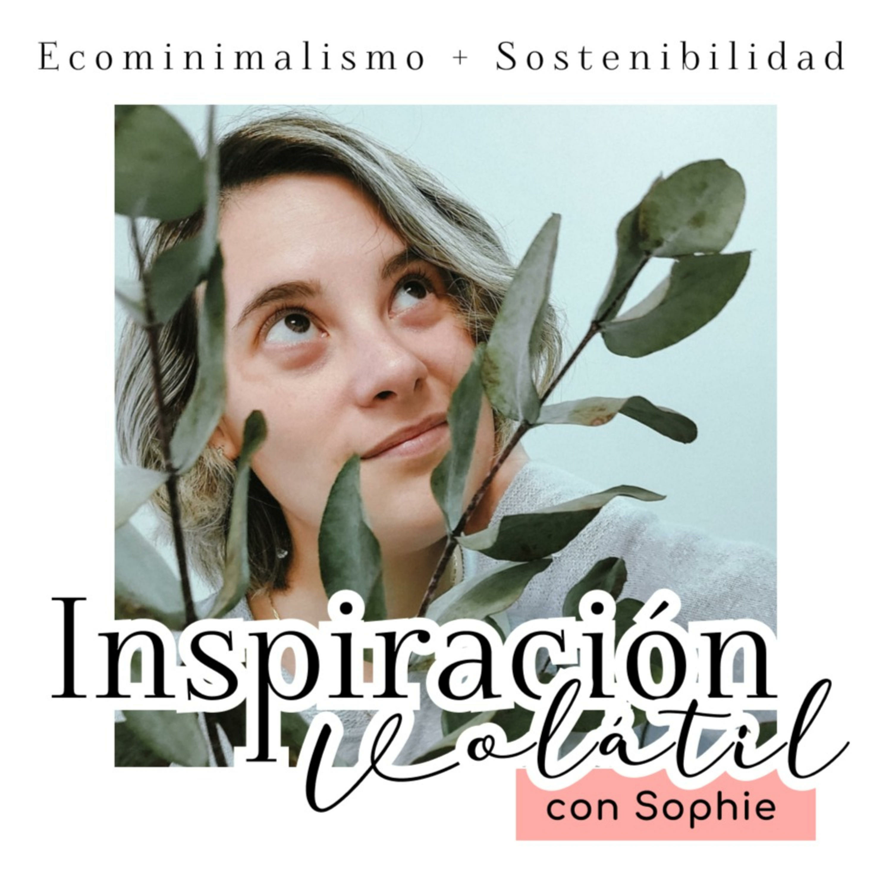 Inspiración Volátil Blog