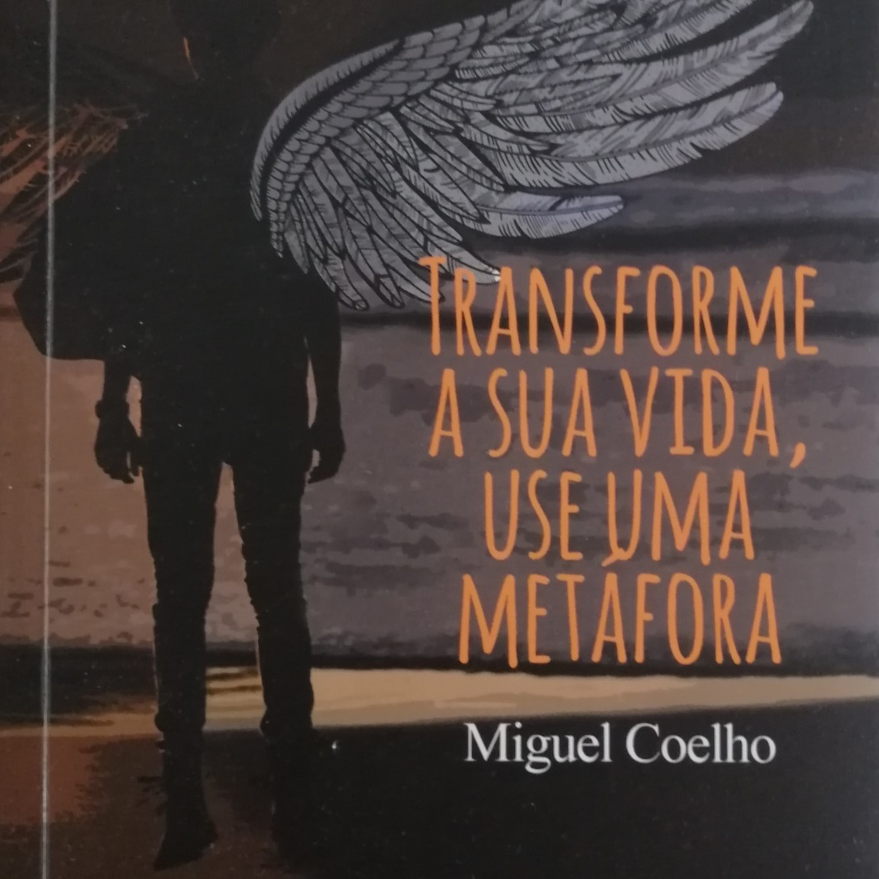 Transforme a Sua vida Use uma Metáfora cover art