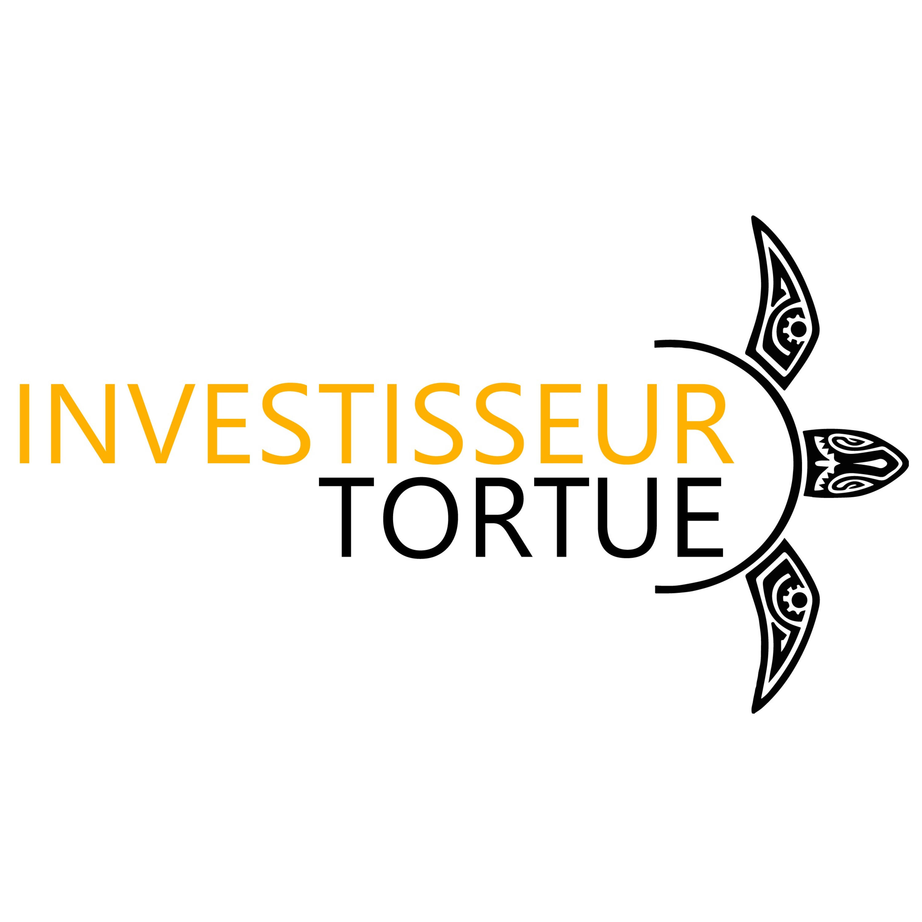 Gestion des Finances Personnelles avec l'Investisseur Tortue