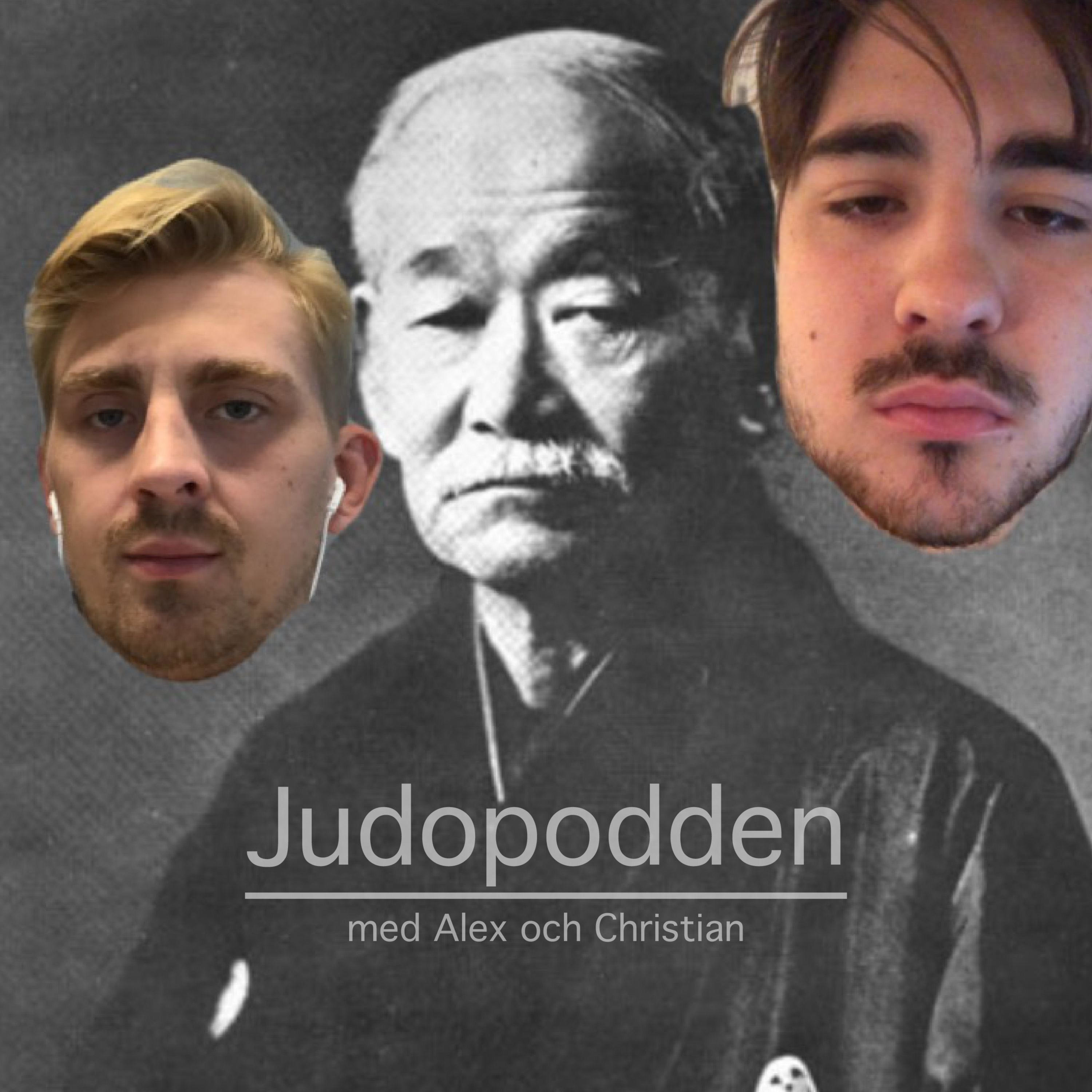 Judopodden