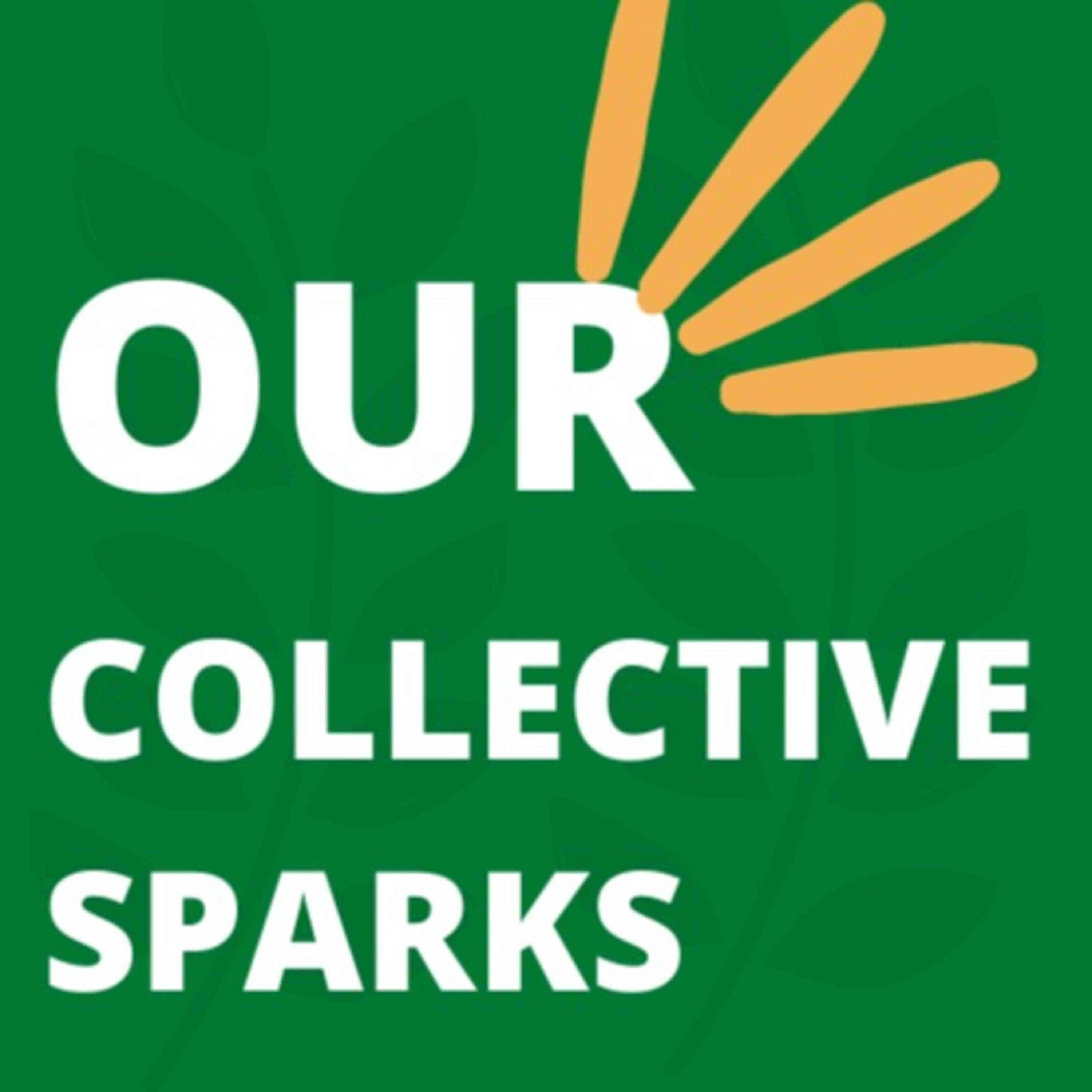 Our Collective Sparks: Conversations with eco conscious people