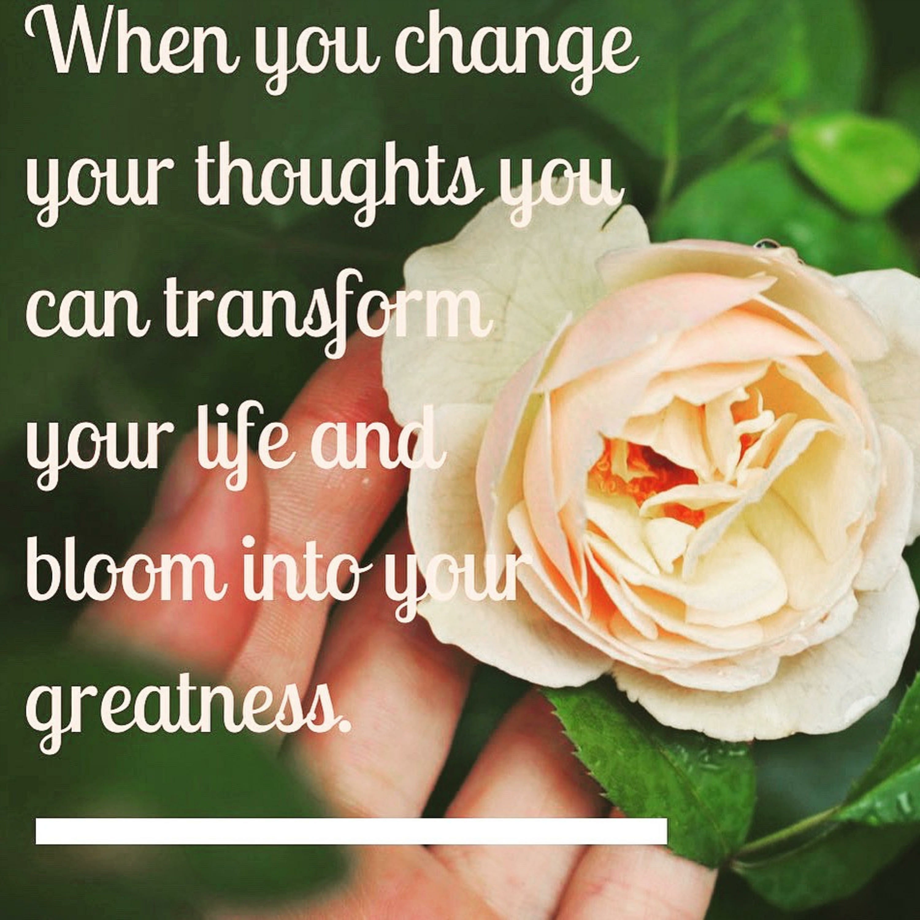 Sabrina\'s Motivational Minutes