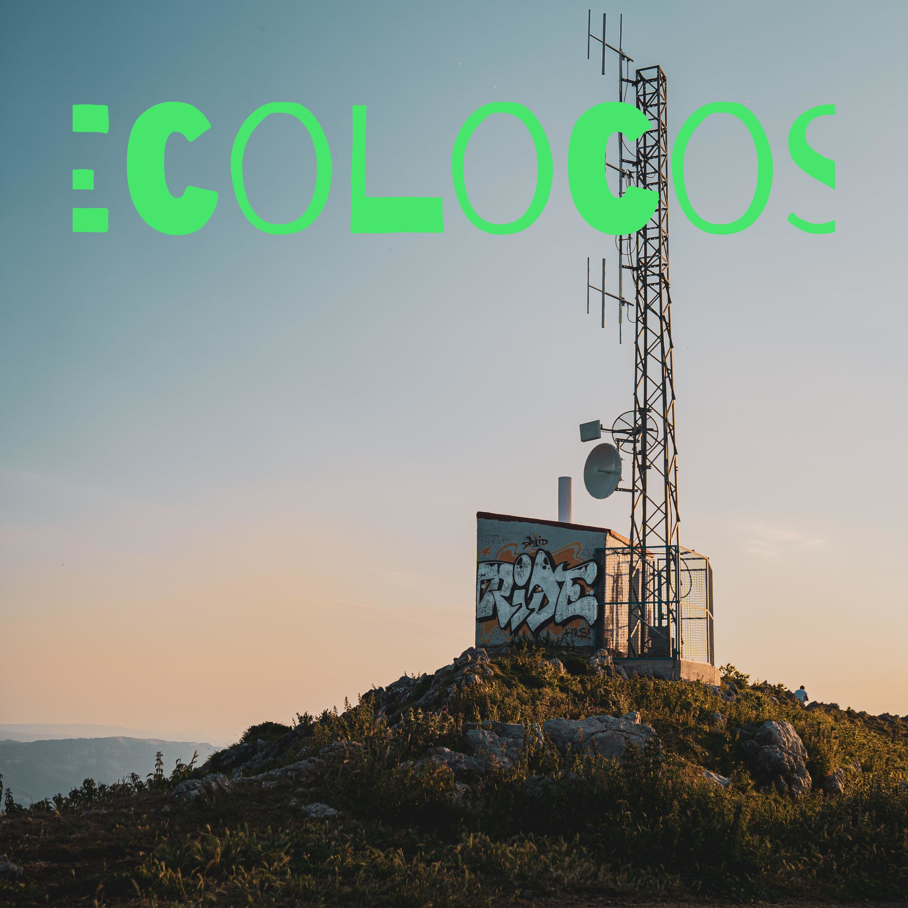 Ecolocos