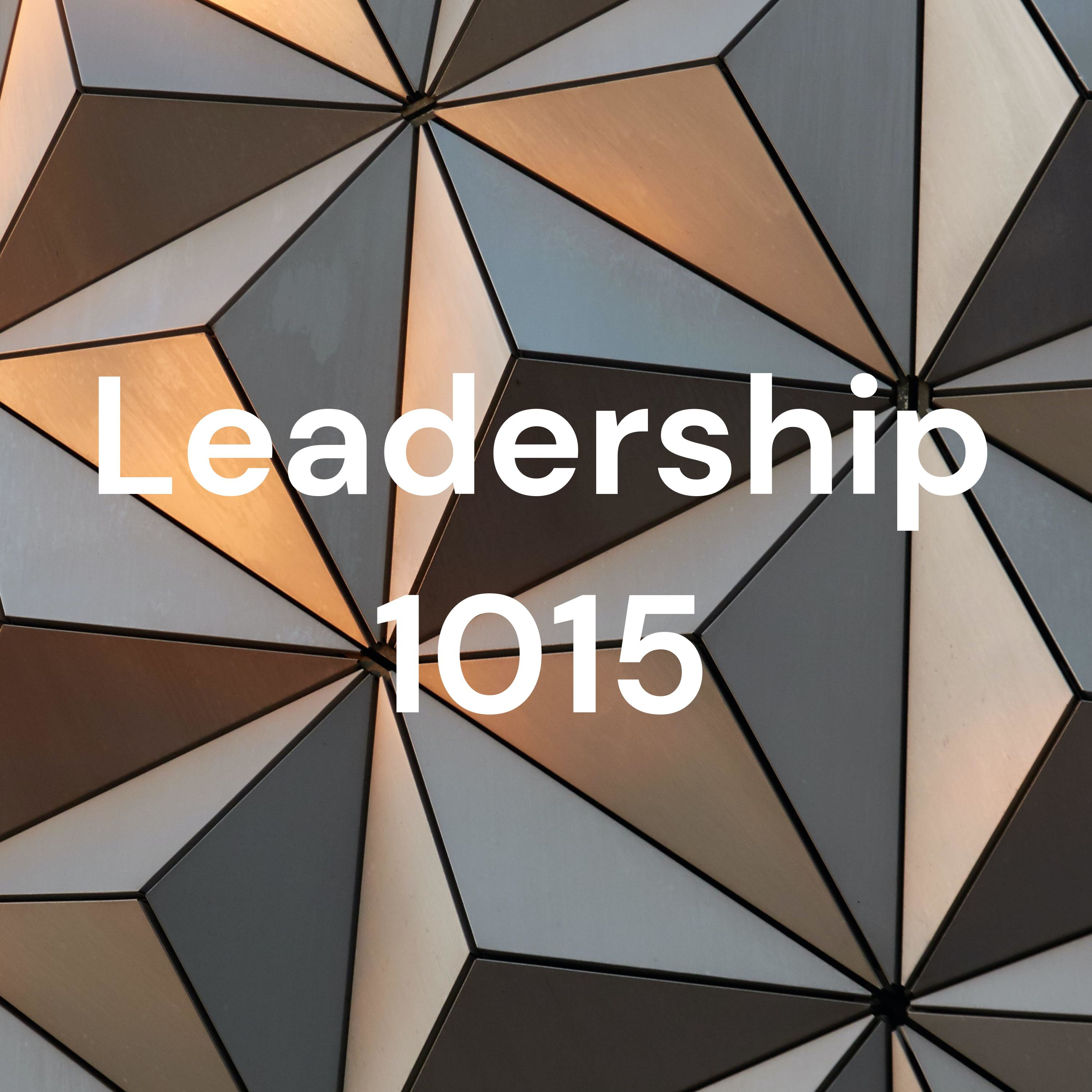 Leadership Journal Reflection #3