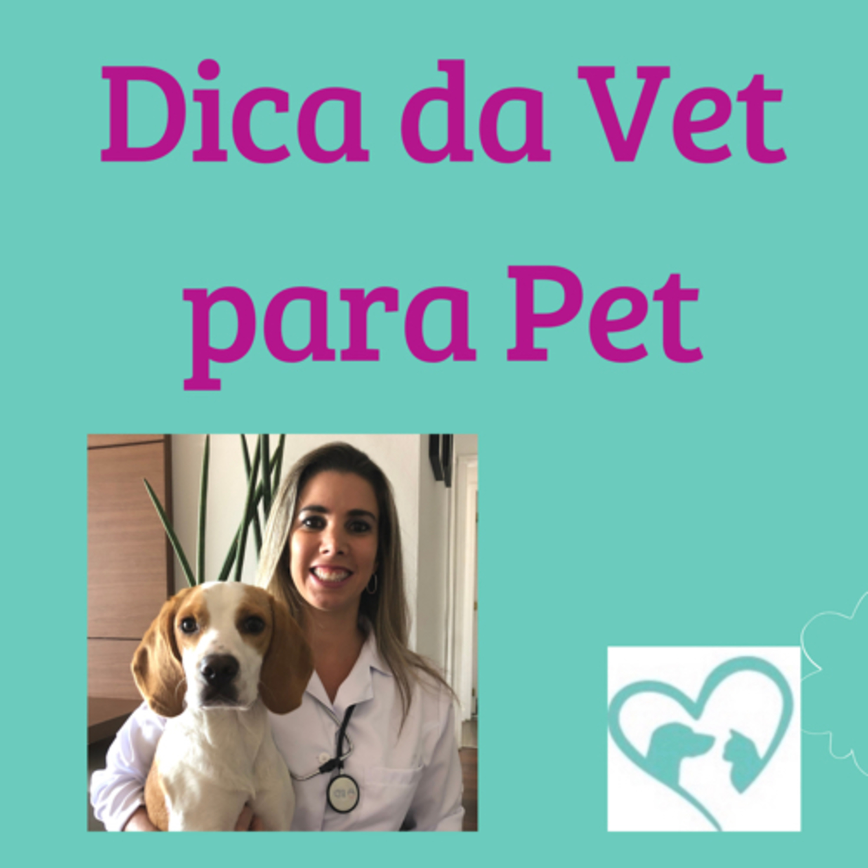 Dica da Vet para Pet