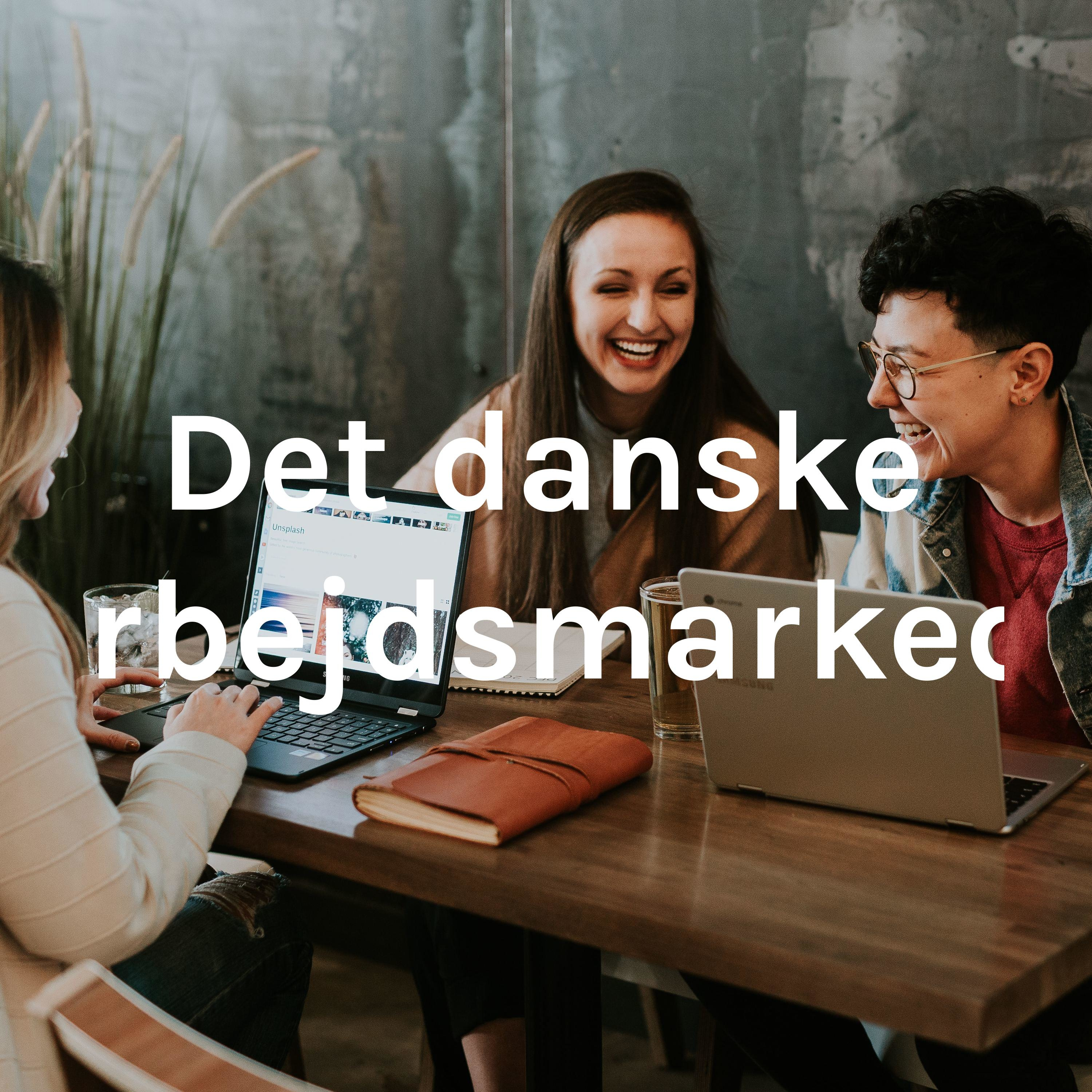 Det danske arbejdsmarked. af Allan Baisgaard