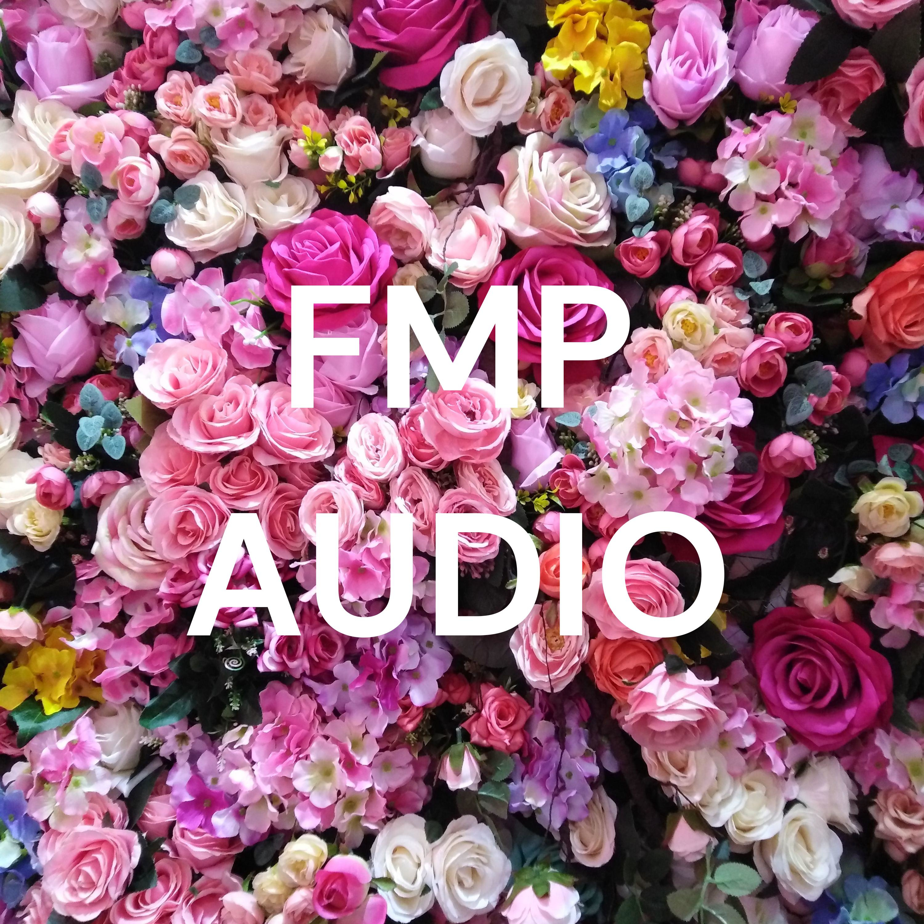 FMP AUDIO
