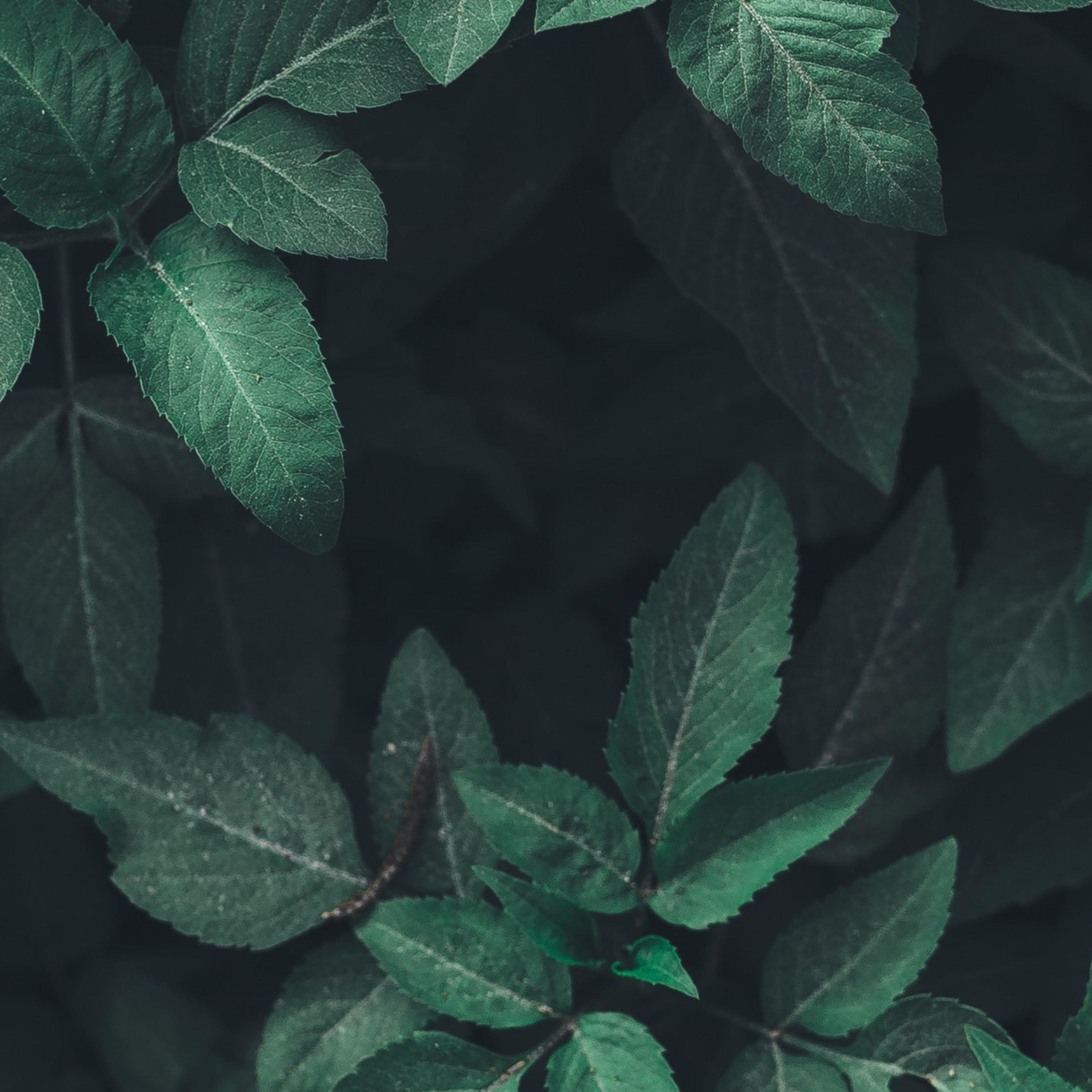 BLAST FROM THE PAST PODCAST