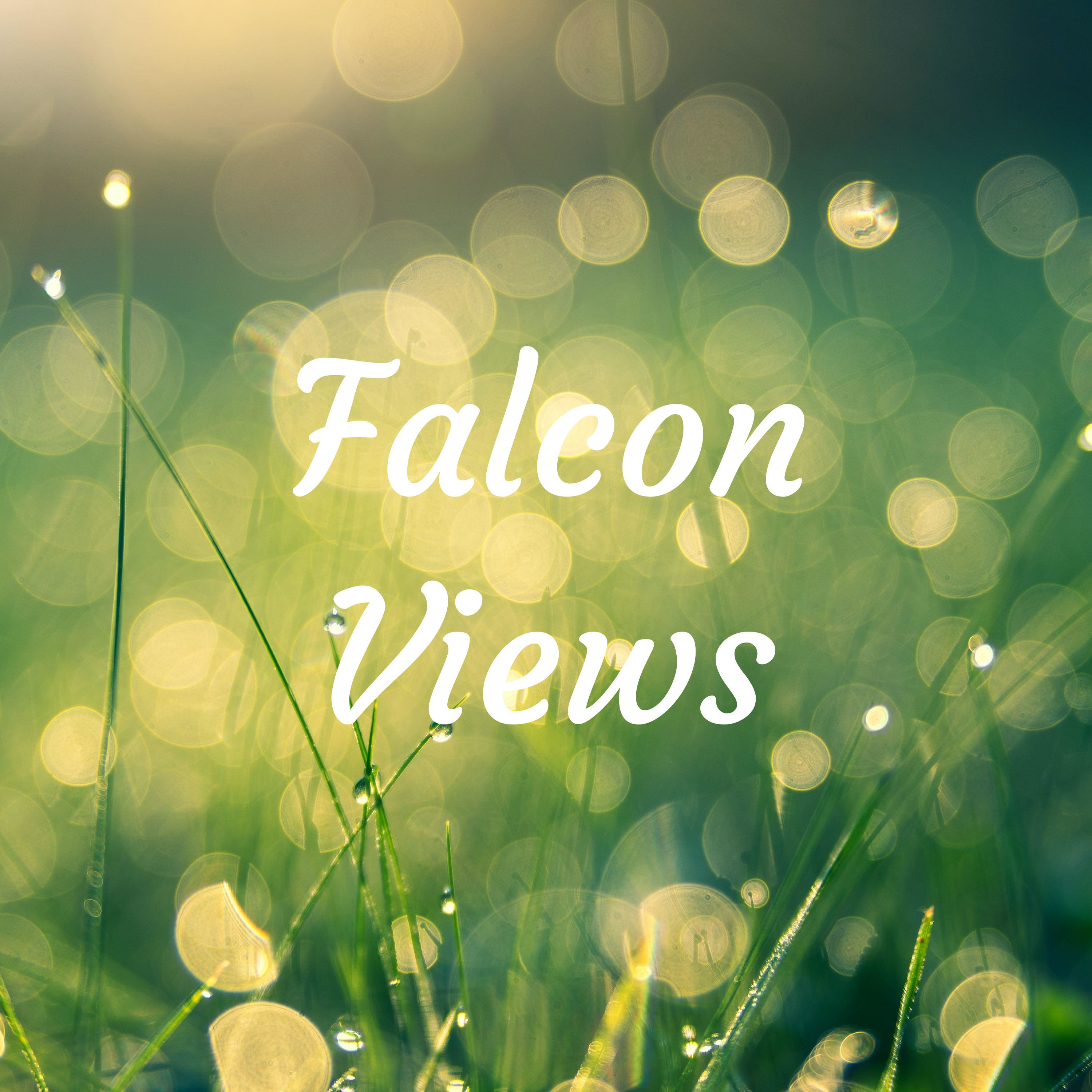 Falcon Views podcast artwork