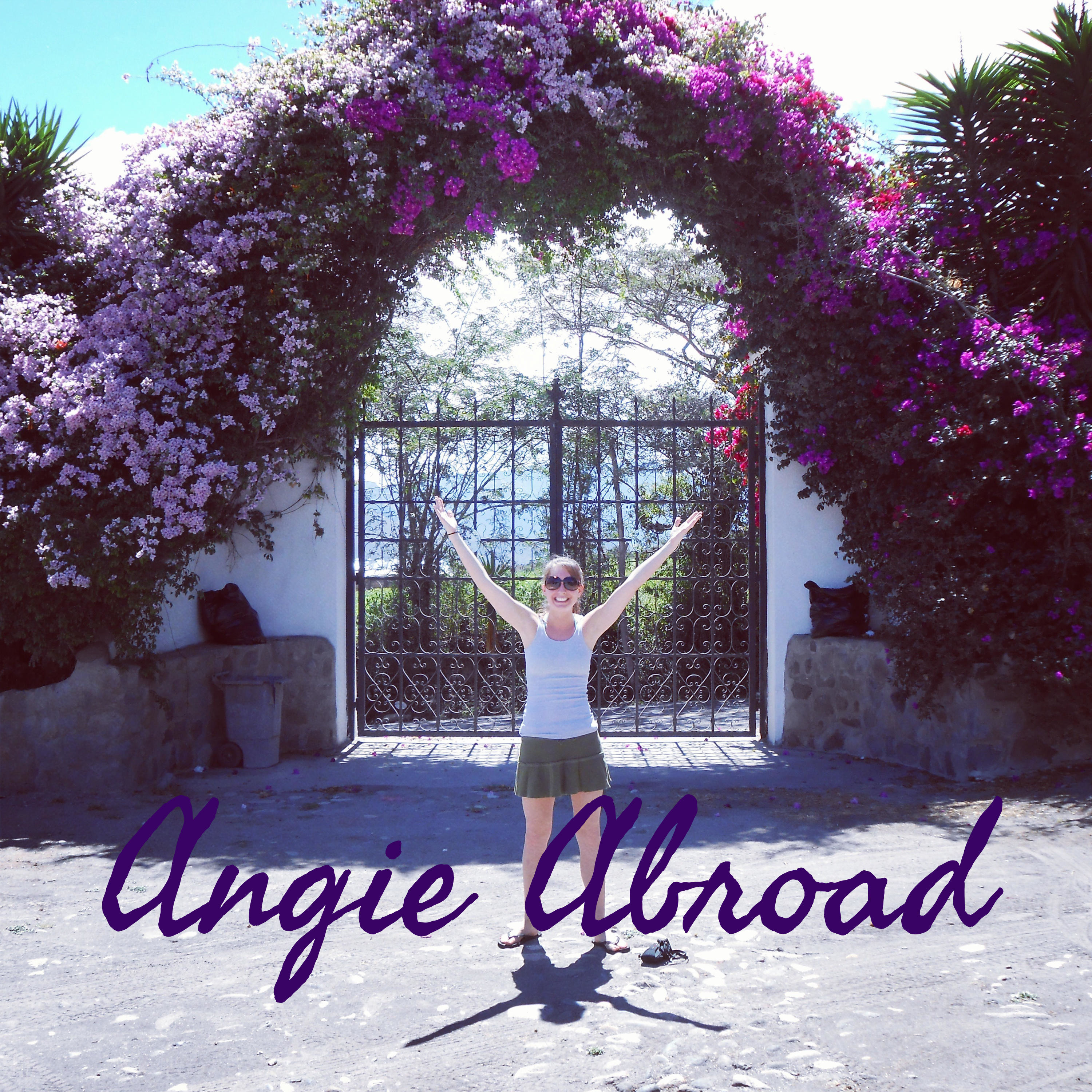 Angie Abroad