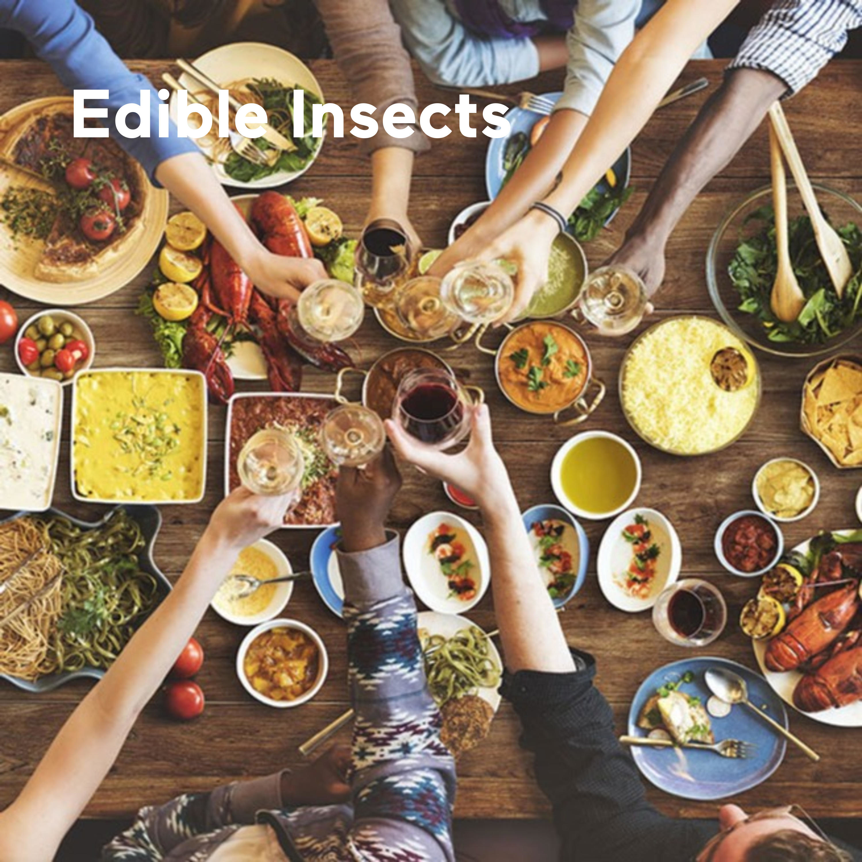 Edible Insects - An Ancient Food Trending Today with Bill Broadbent. Interviewed by Adam Met