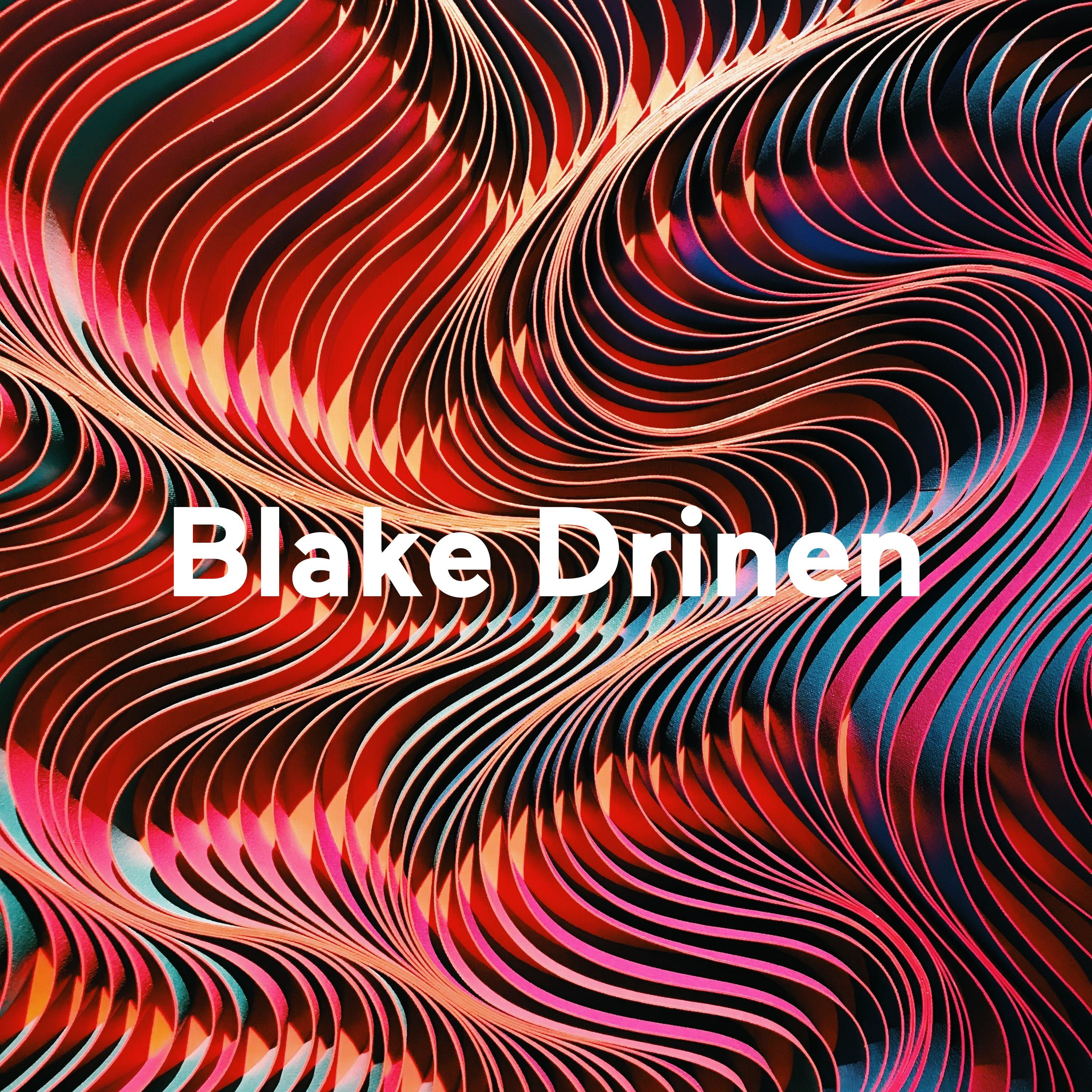 Blake Drinen: A Dialogue with "Doing Democracy"