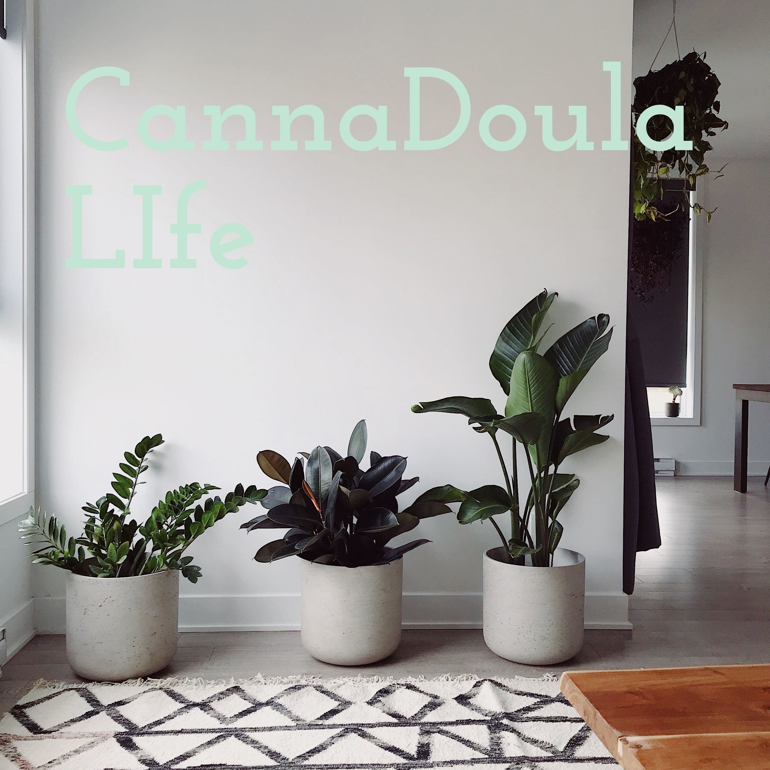CannaDoula LIfe