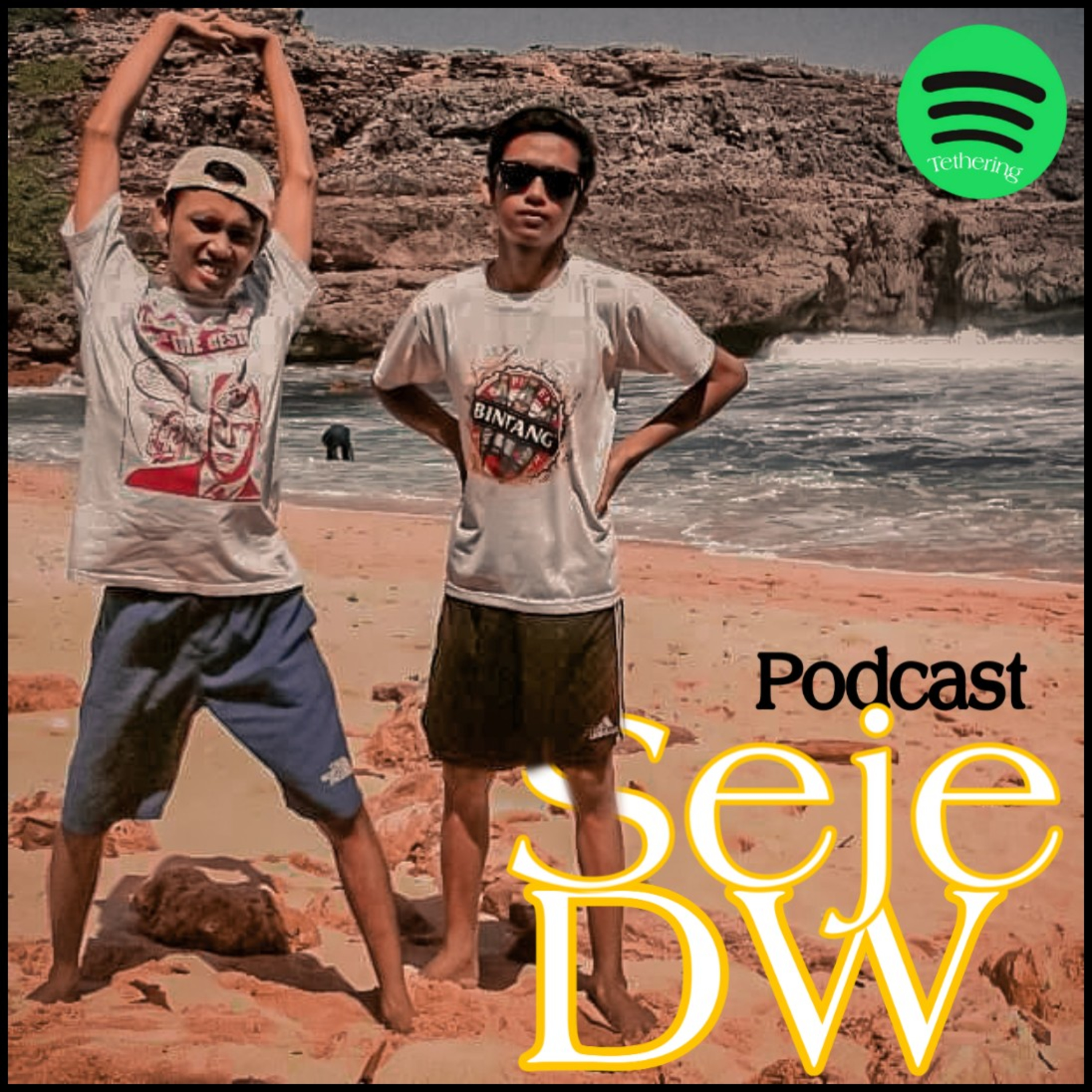 Podcast Sejedw podcast artwork
