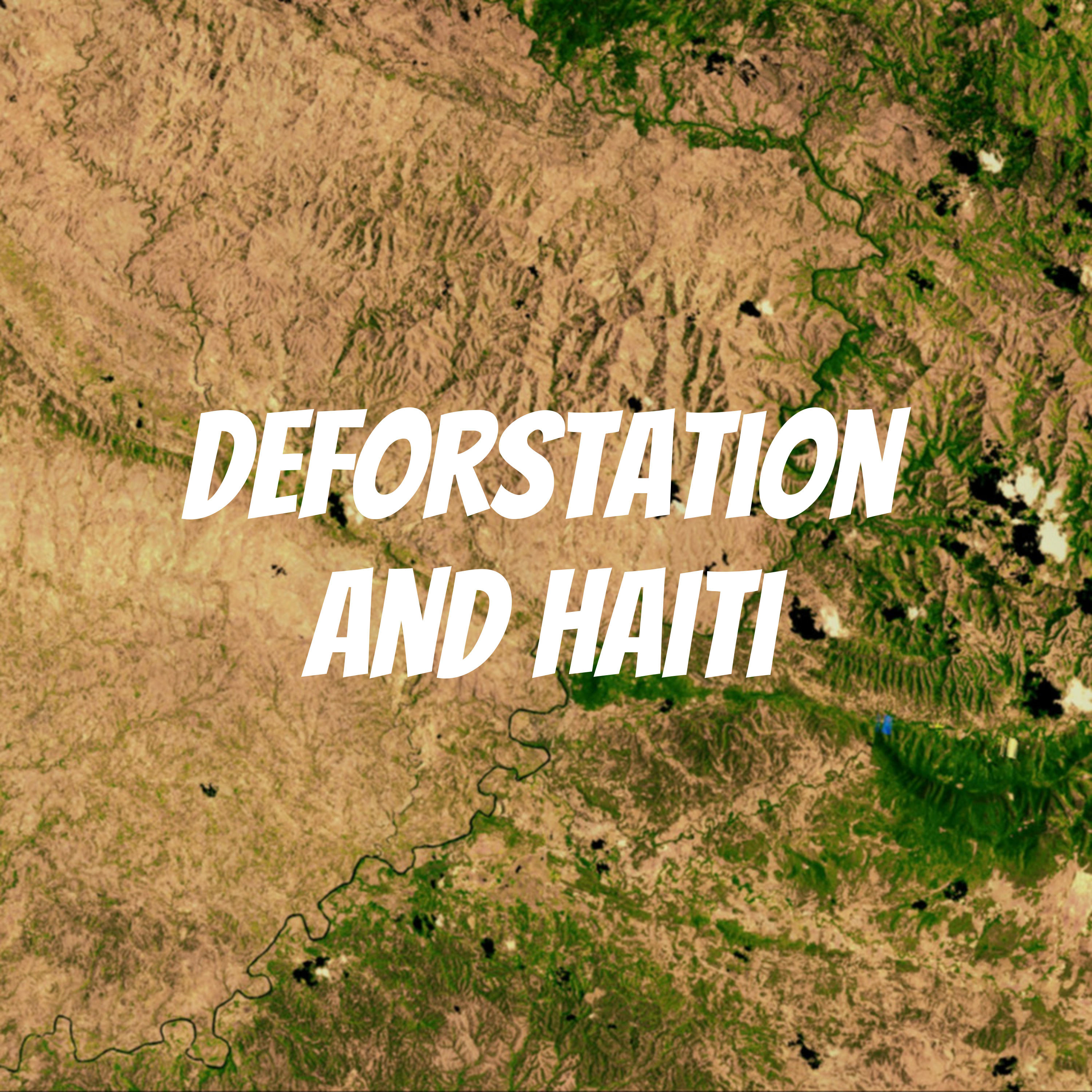 Deforstation and Haiti