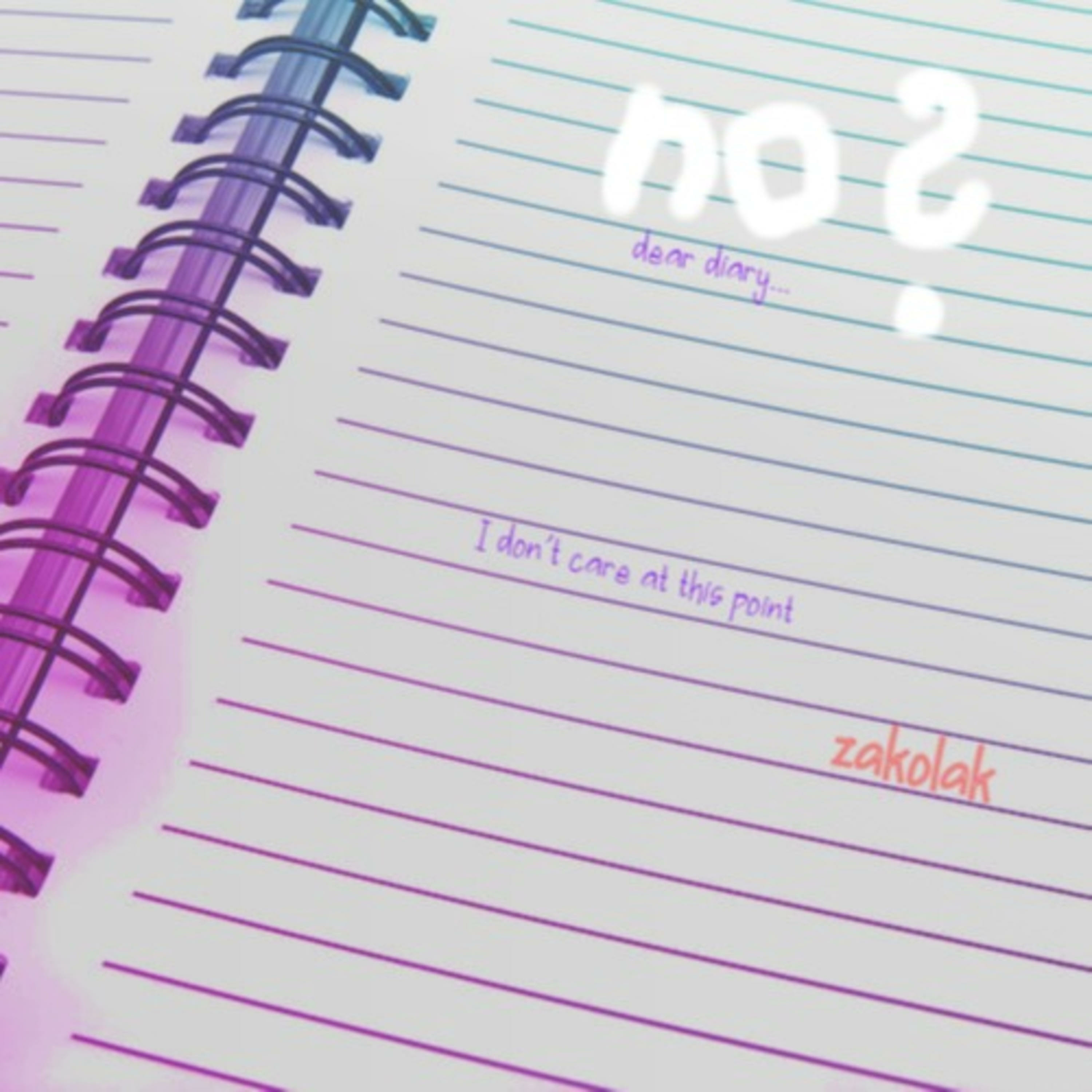 Pamiętnik Zakolaka cover art