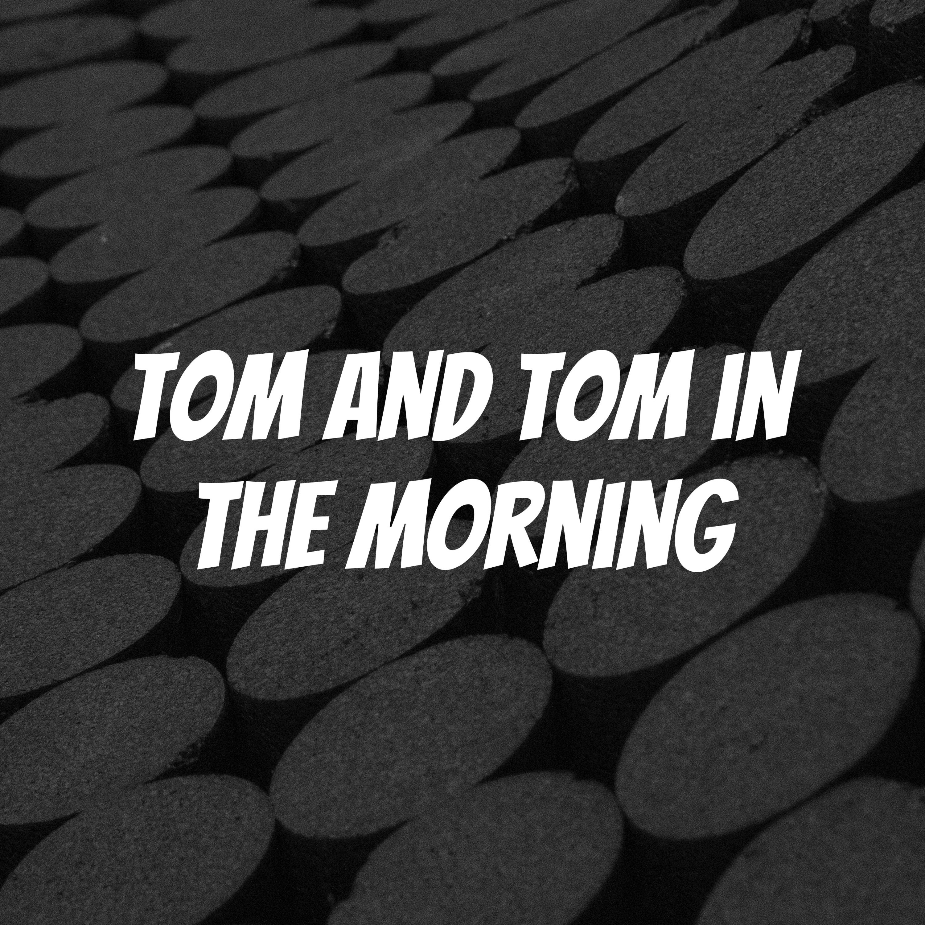 Tom and Tom in the Morning