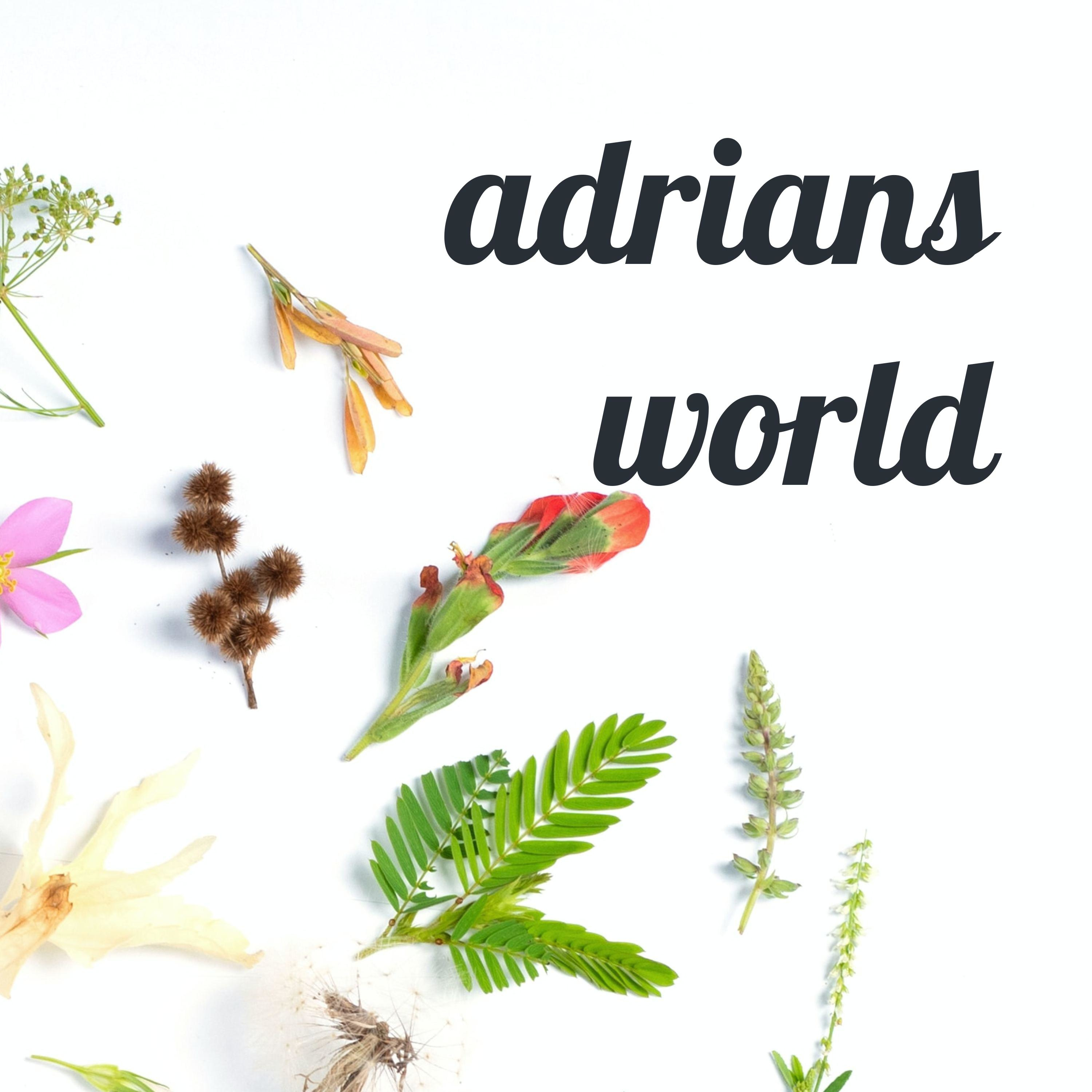 adrians world
