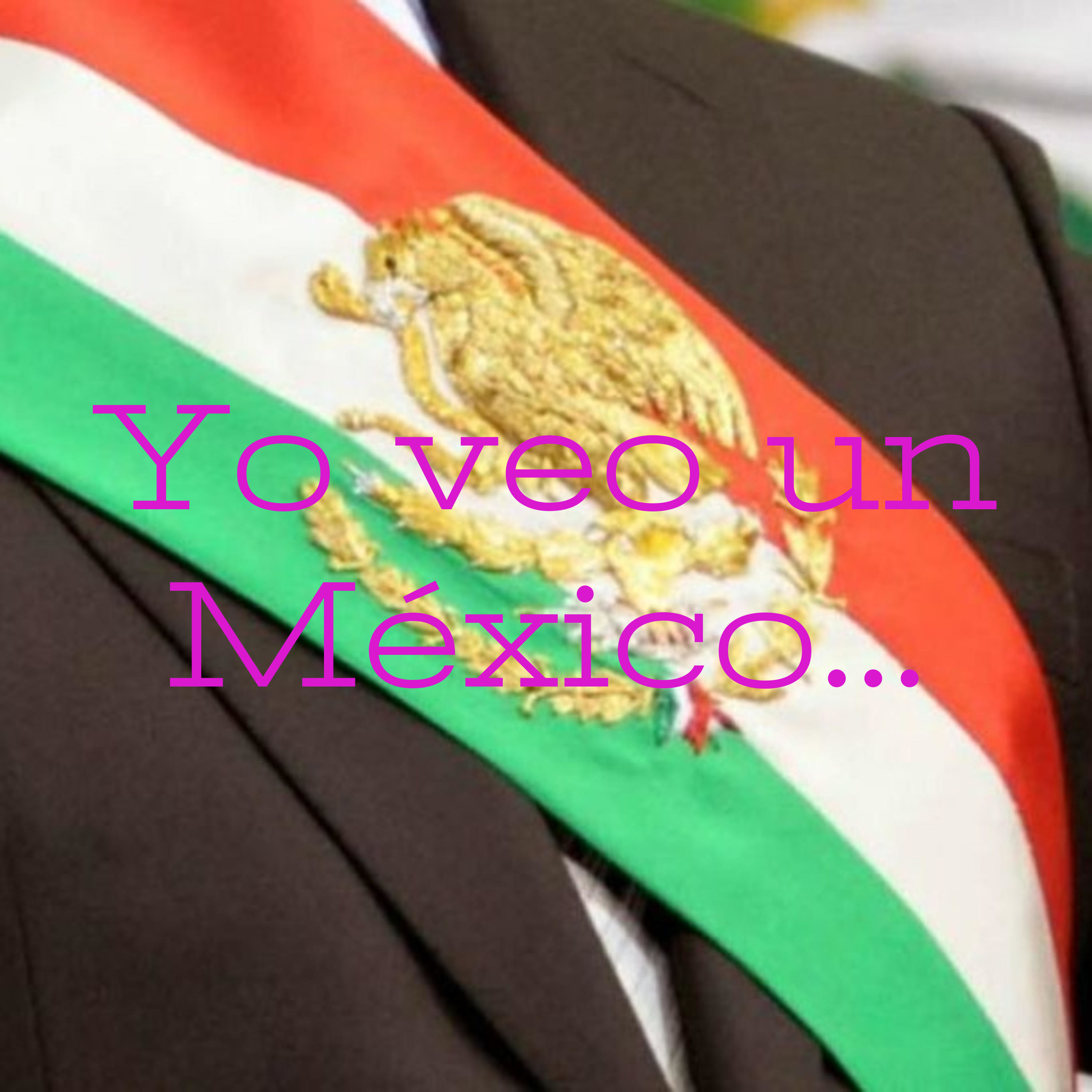 Yo veo un México... cover art