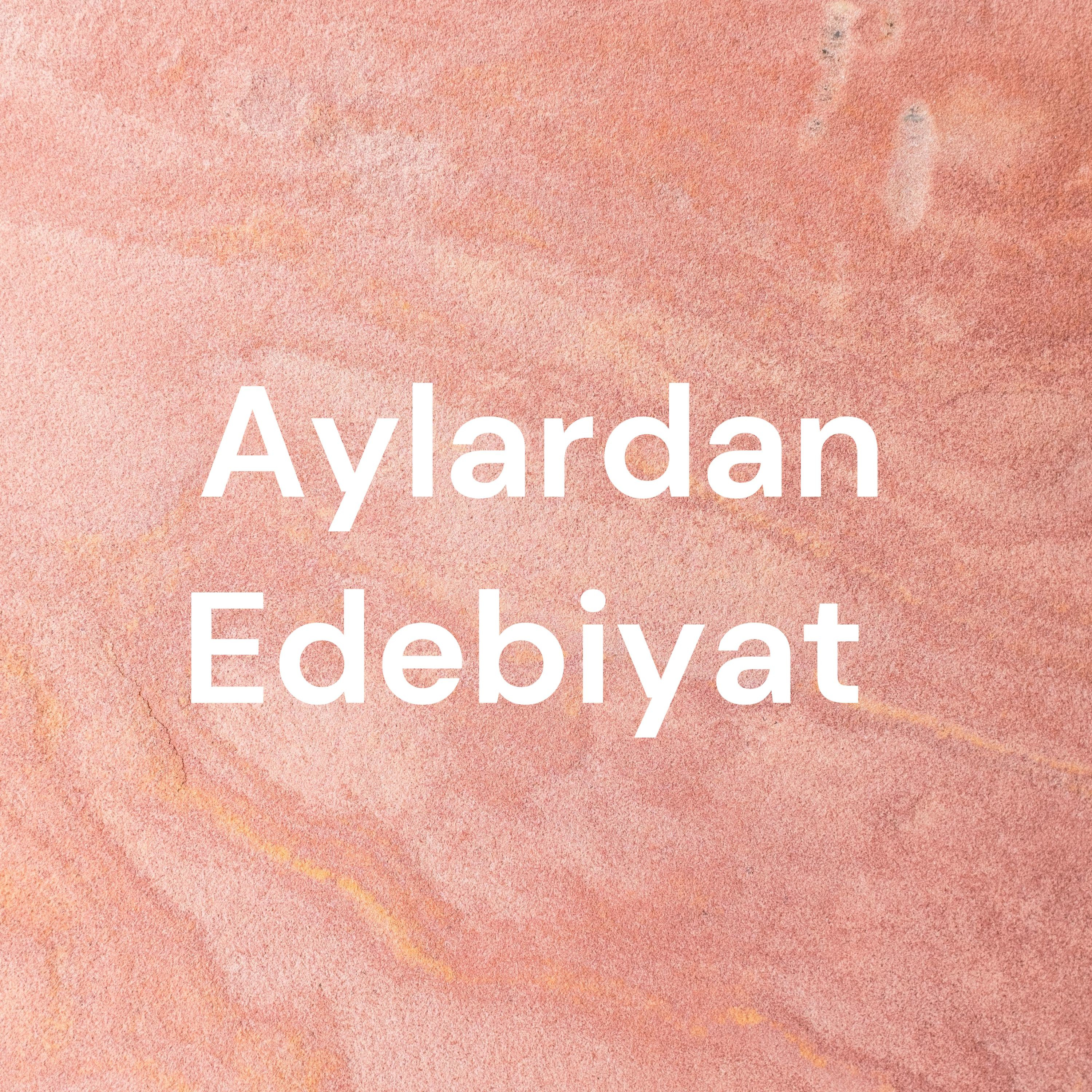 Aylardan Edebiyat 