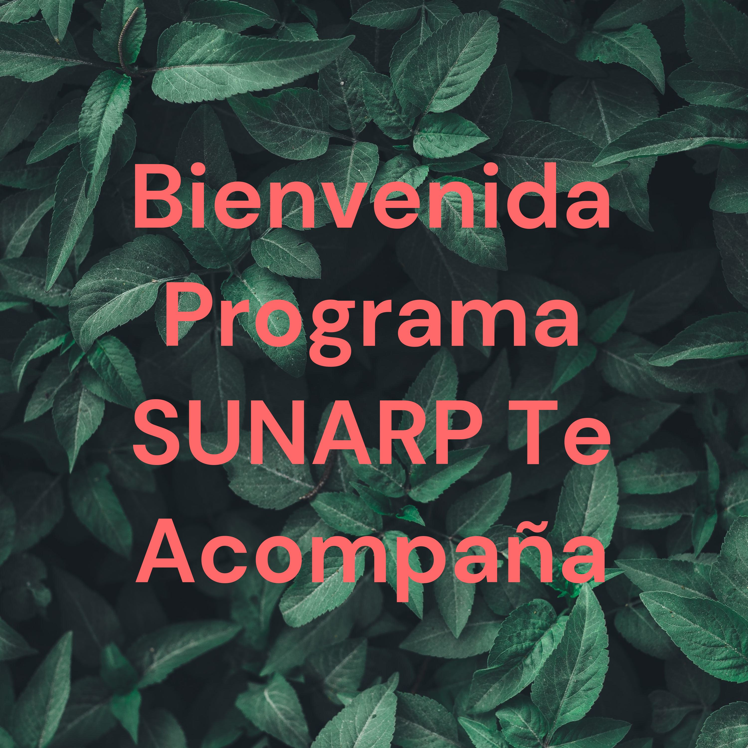Bienvenida Programa SUNARP Te Acompaña