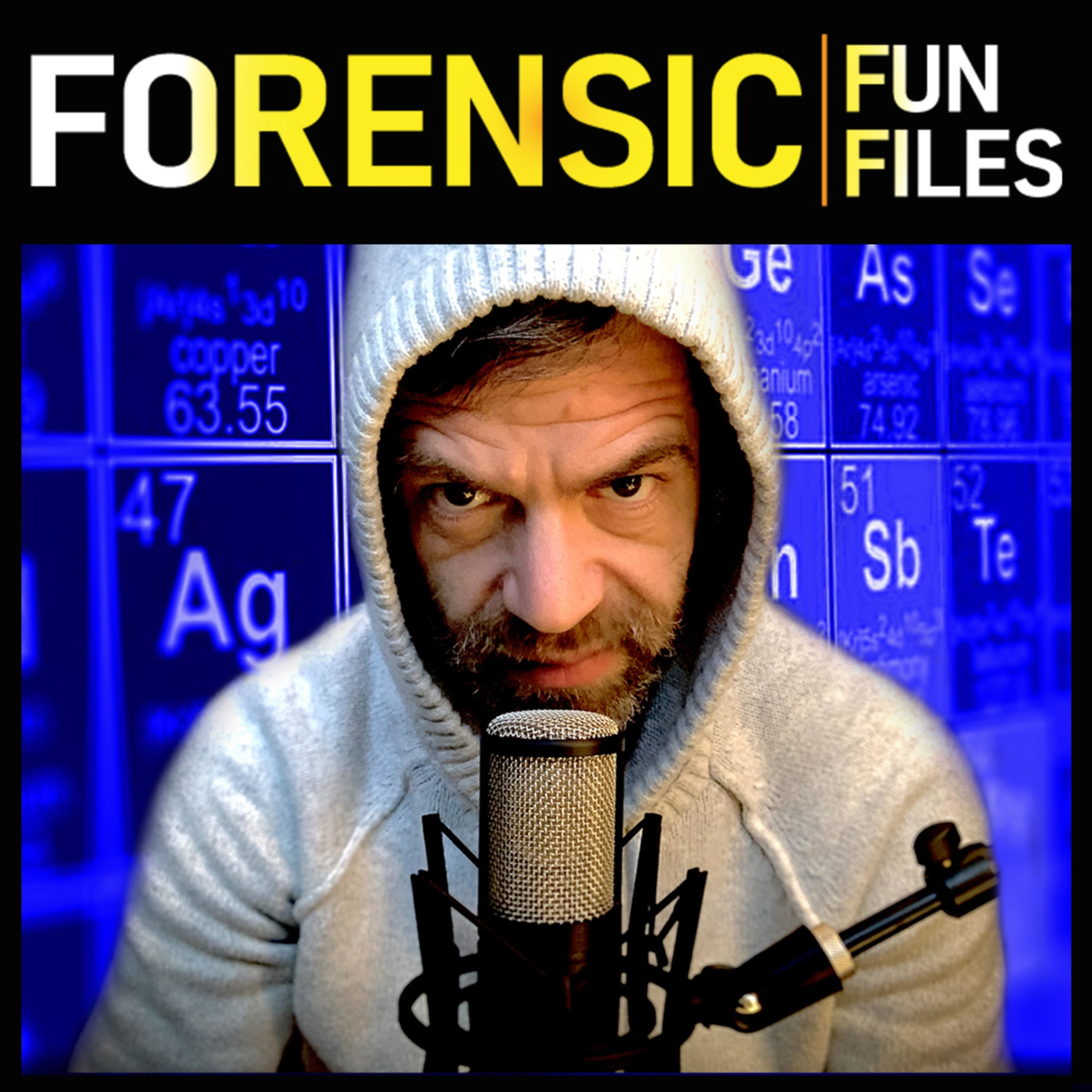 Forensic Fun-Files